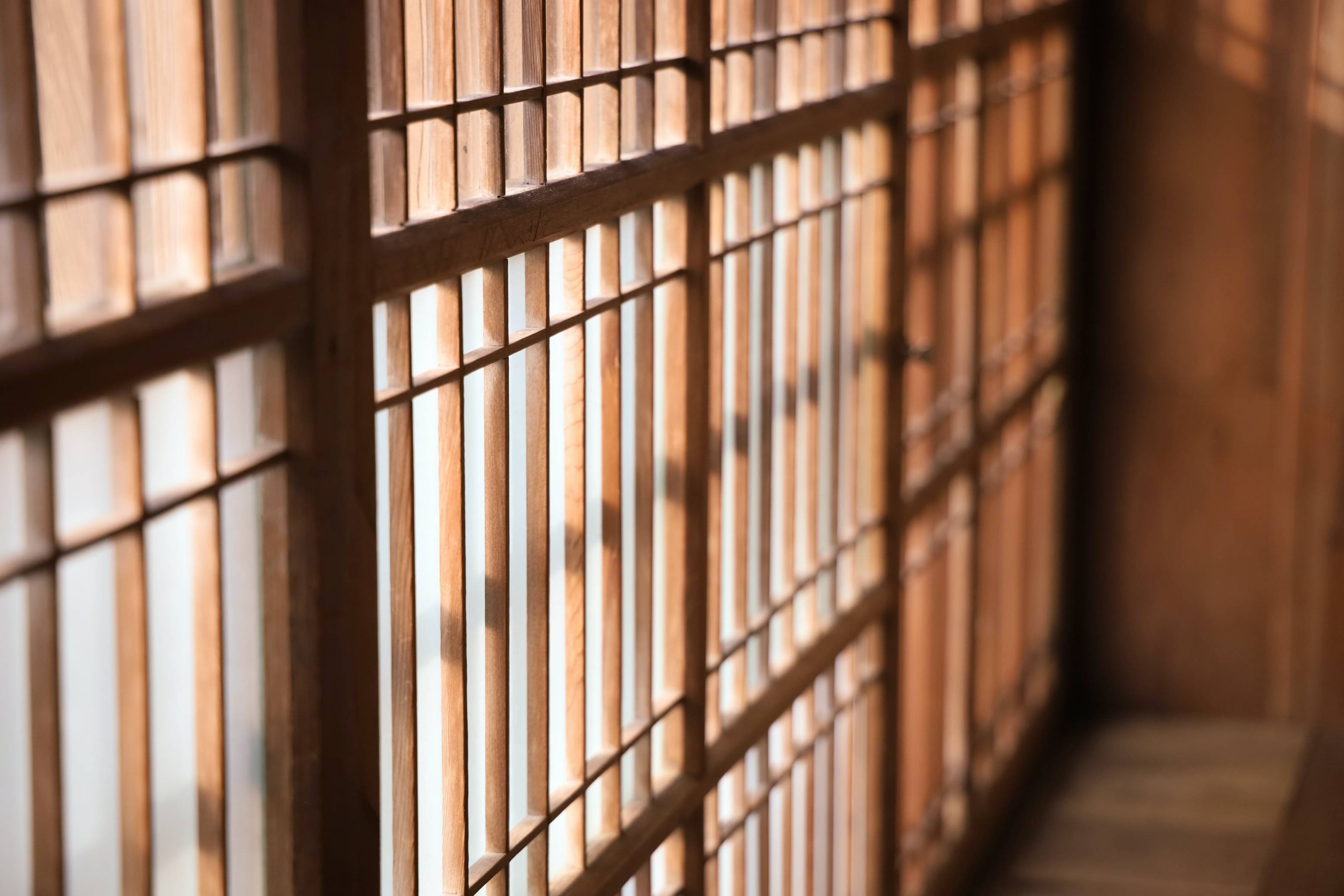 a close up image of shadowy prison bars in a dark room