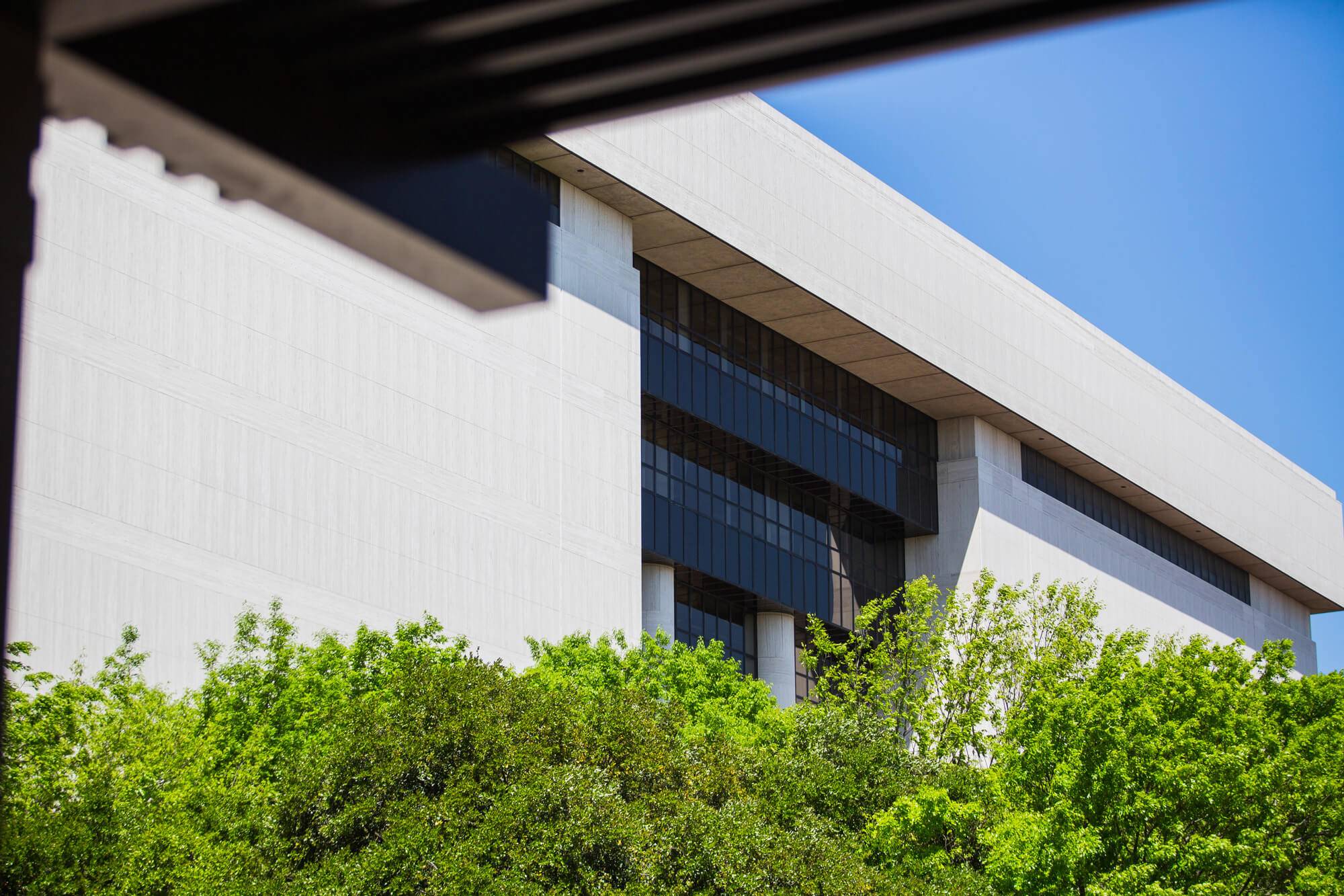 Alkek Library with foliage in foreground
