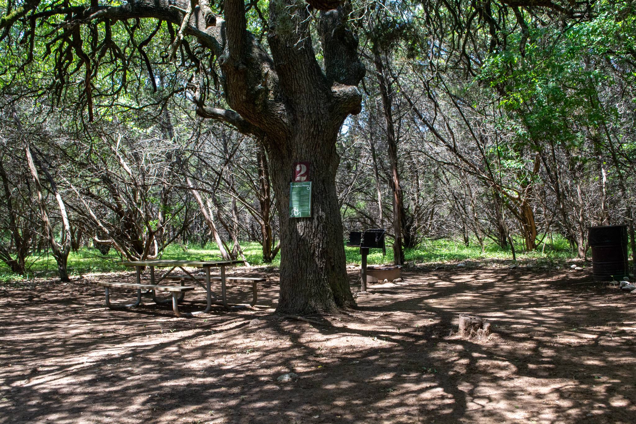 Campsite