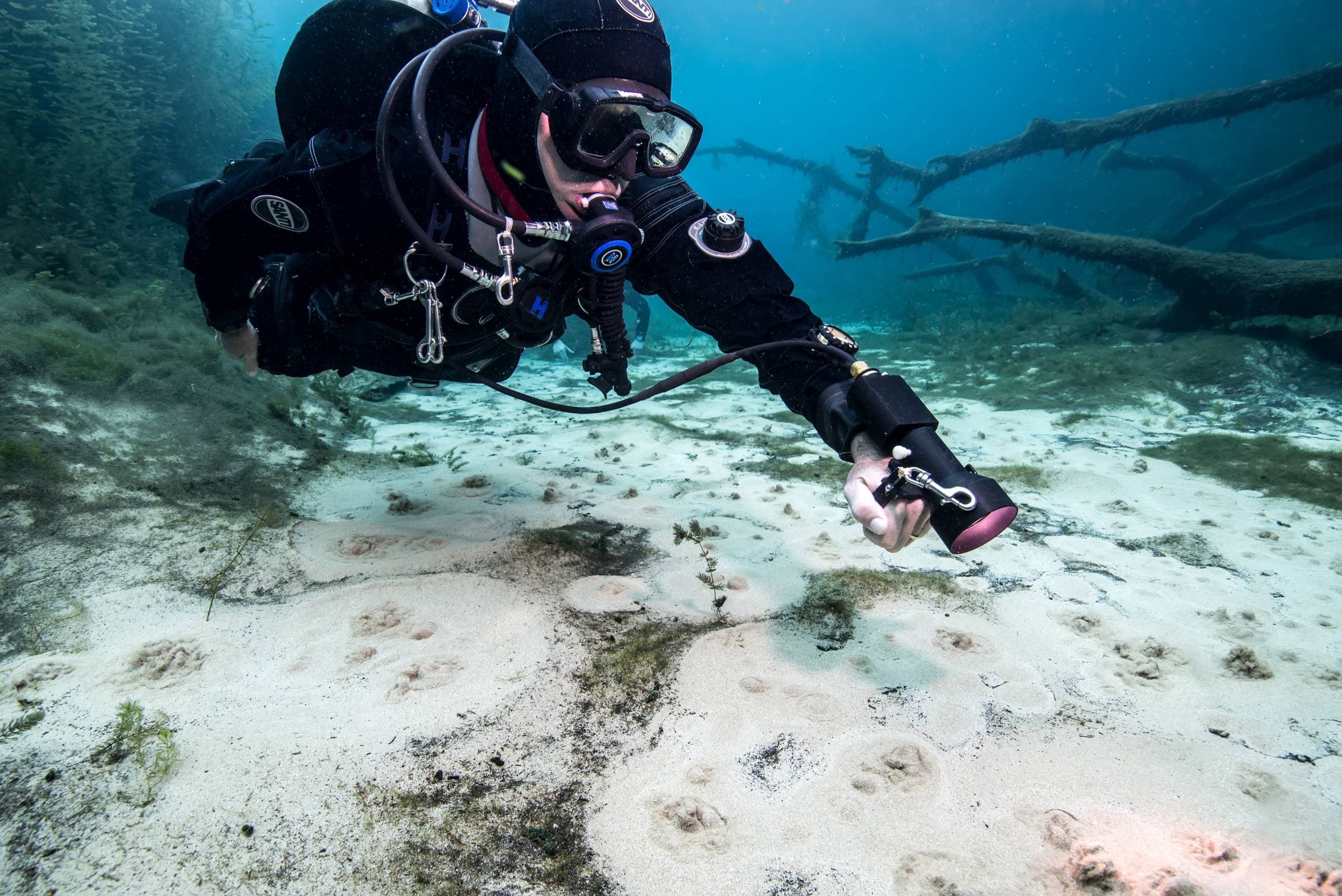 A scuba diver shines a flashlight on the sea floor.