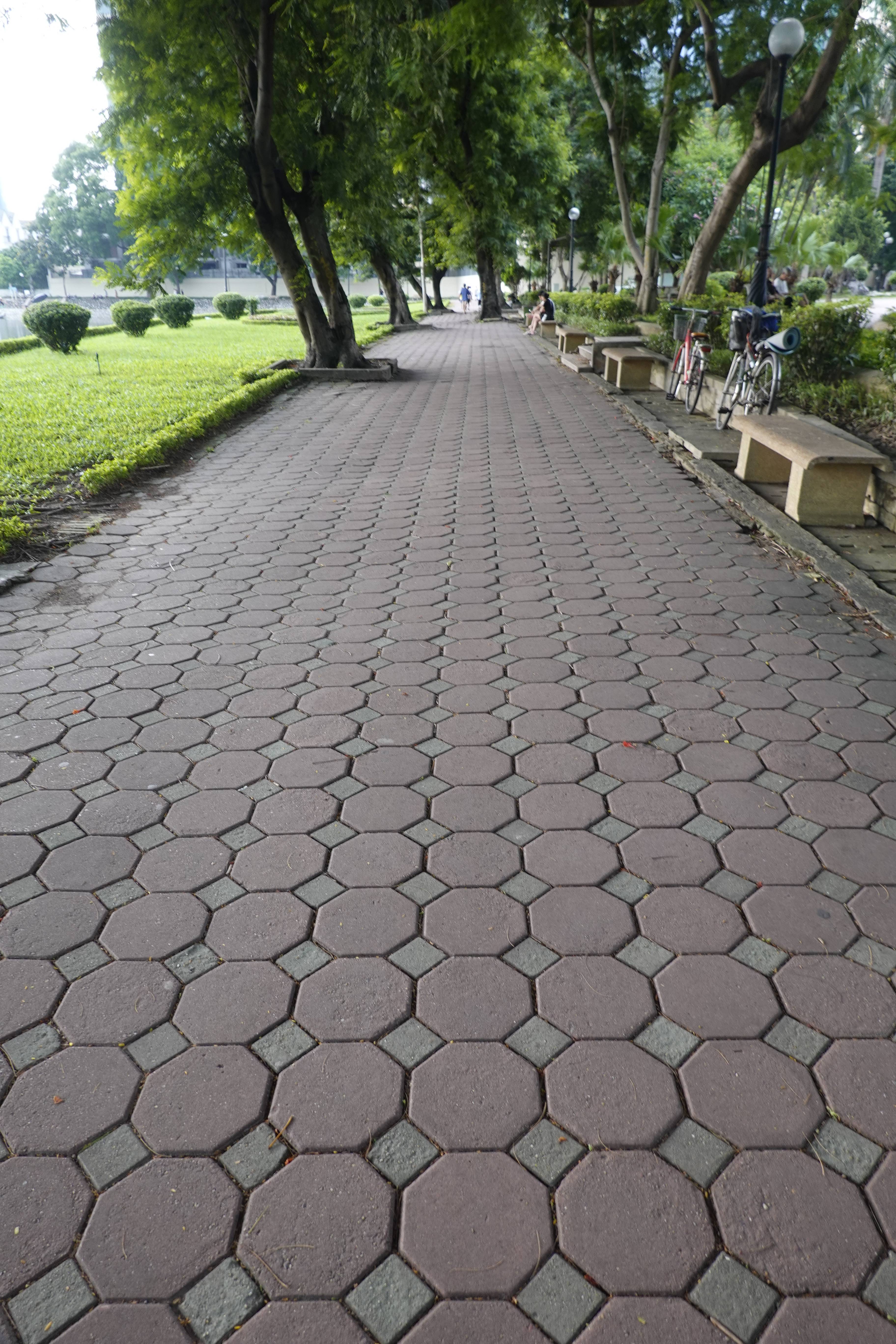 Walkway paved with octogonal bricks