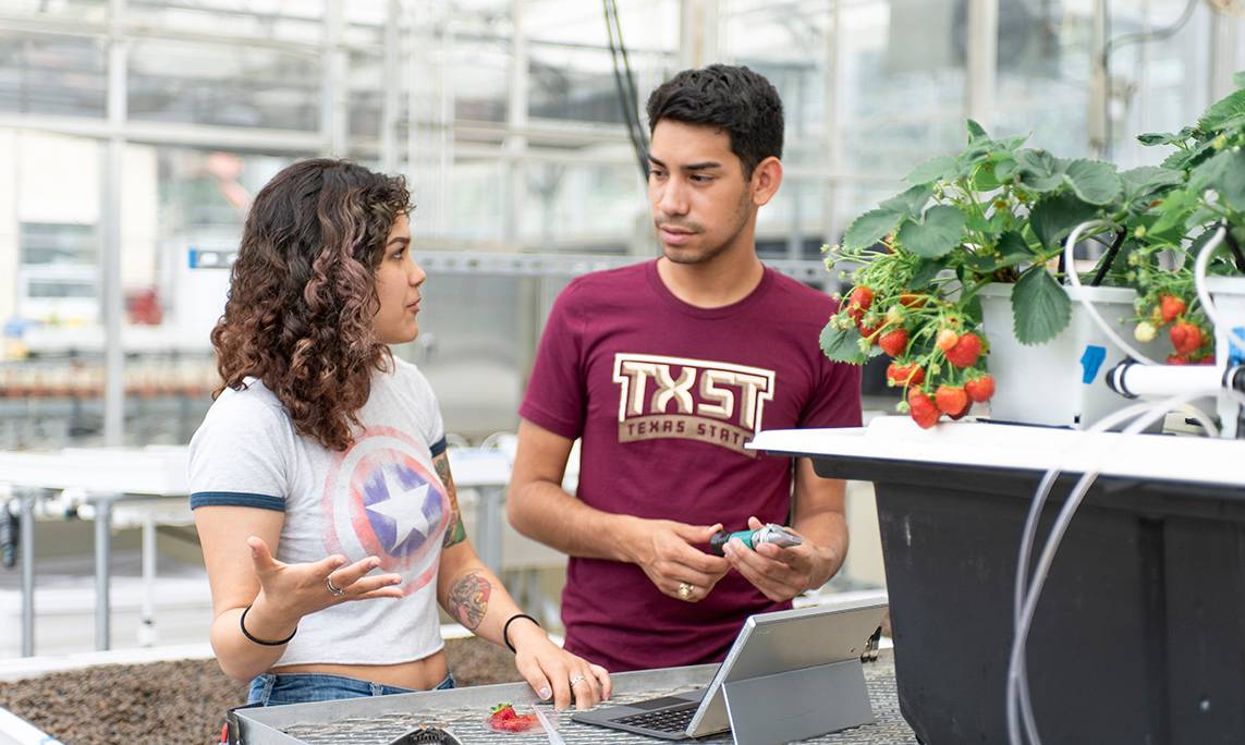 hispanic students looking at hydroponic strawberries
