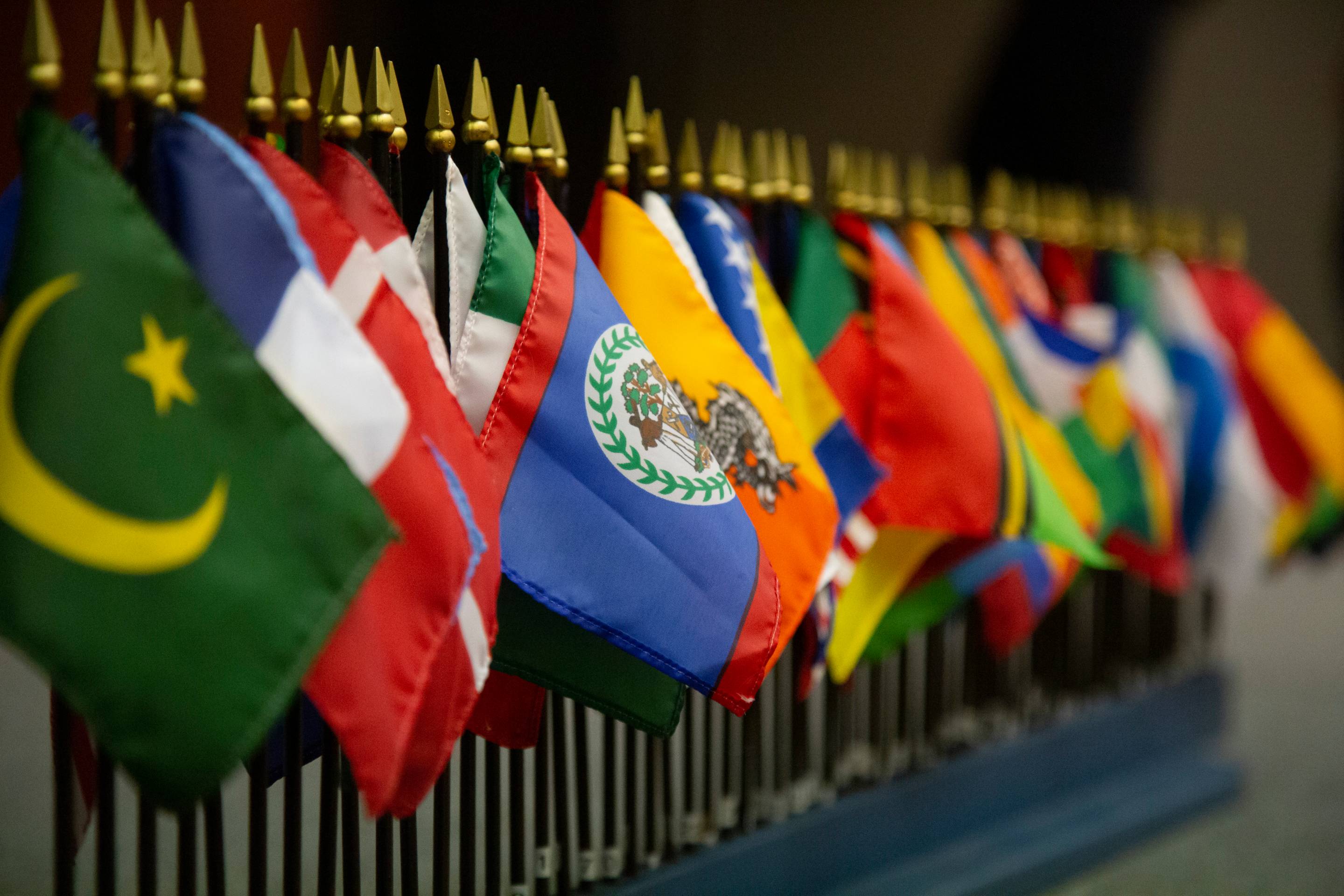 photo of international flags