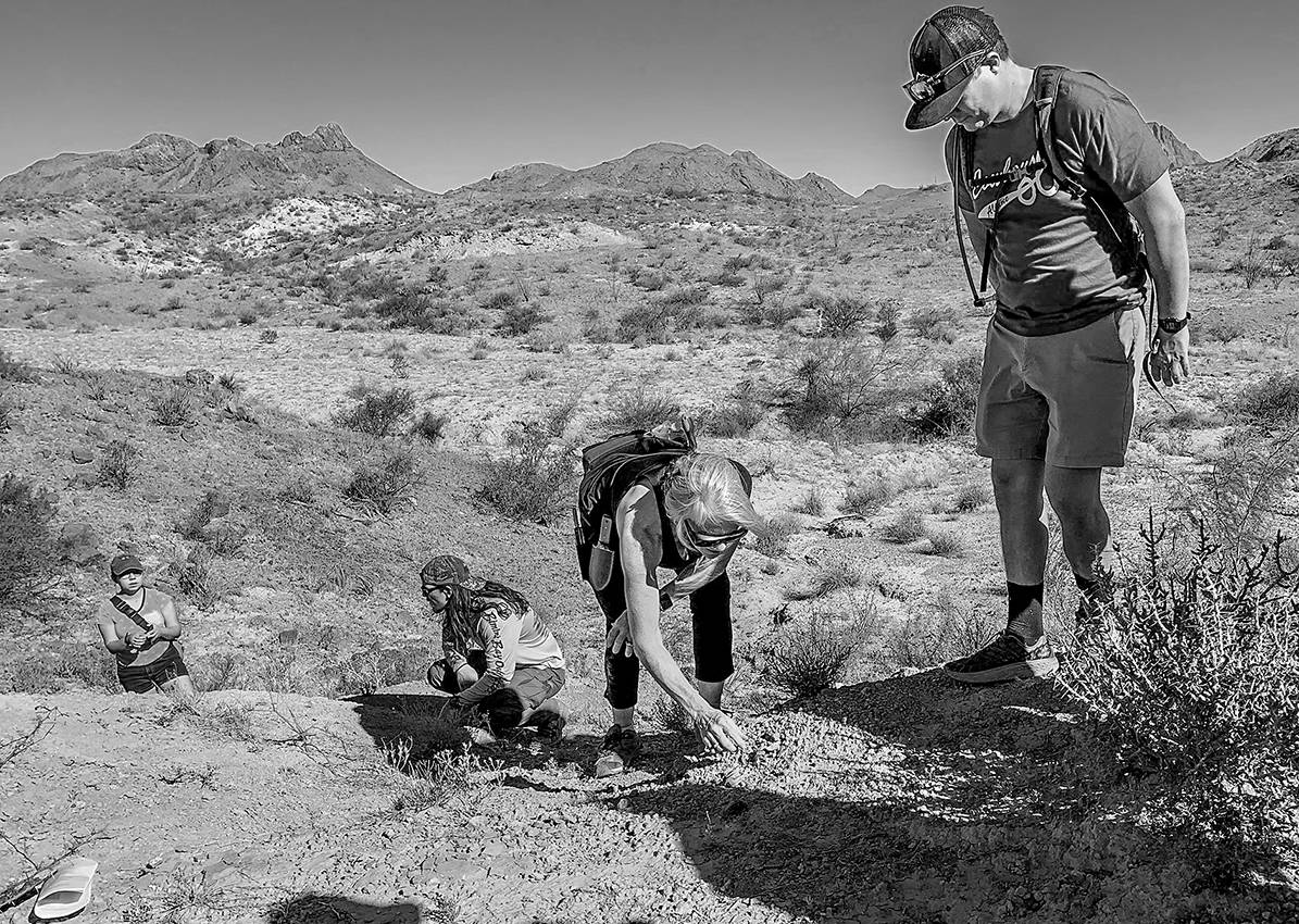 black and white photo of people looking for fossils in mountain range