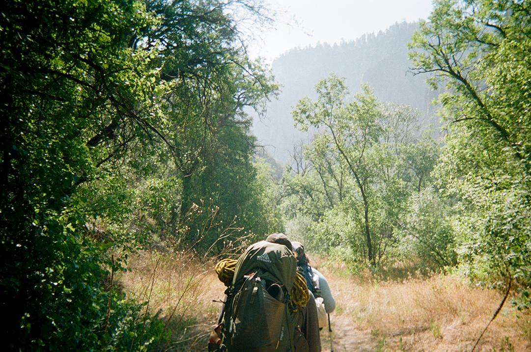 back of a hiker walking on a trail