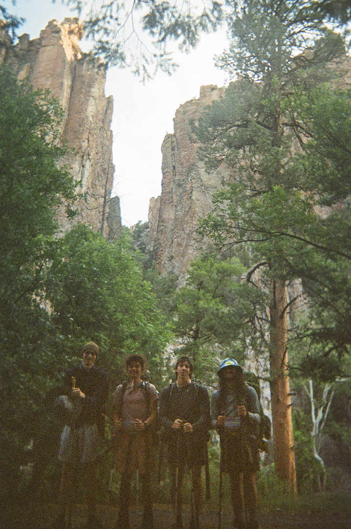 four hikers standing next to large trees