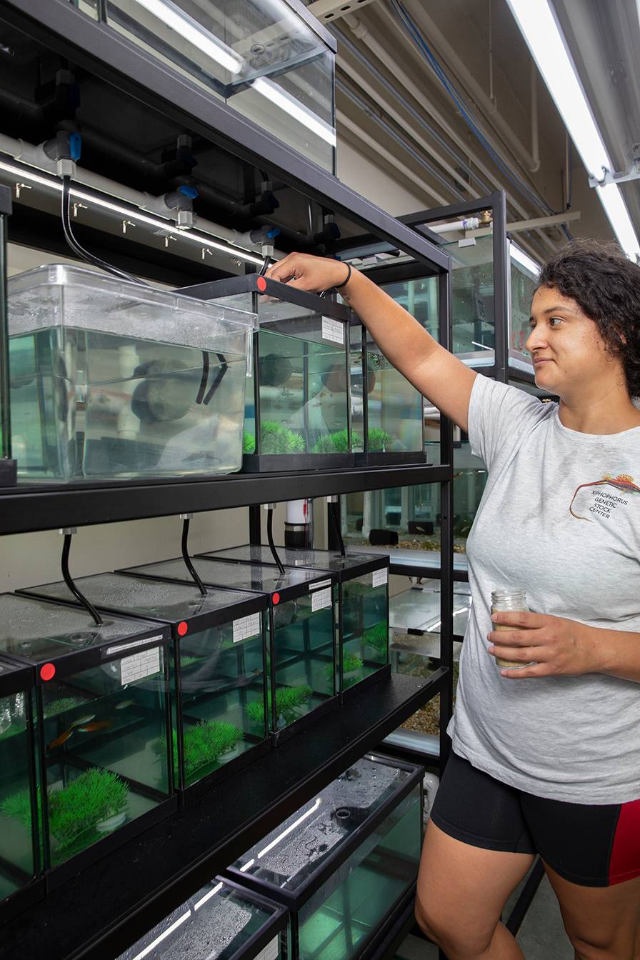 woman standing next to large wall of fish tanks and feeding fish