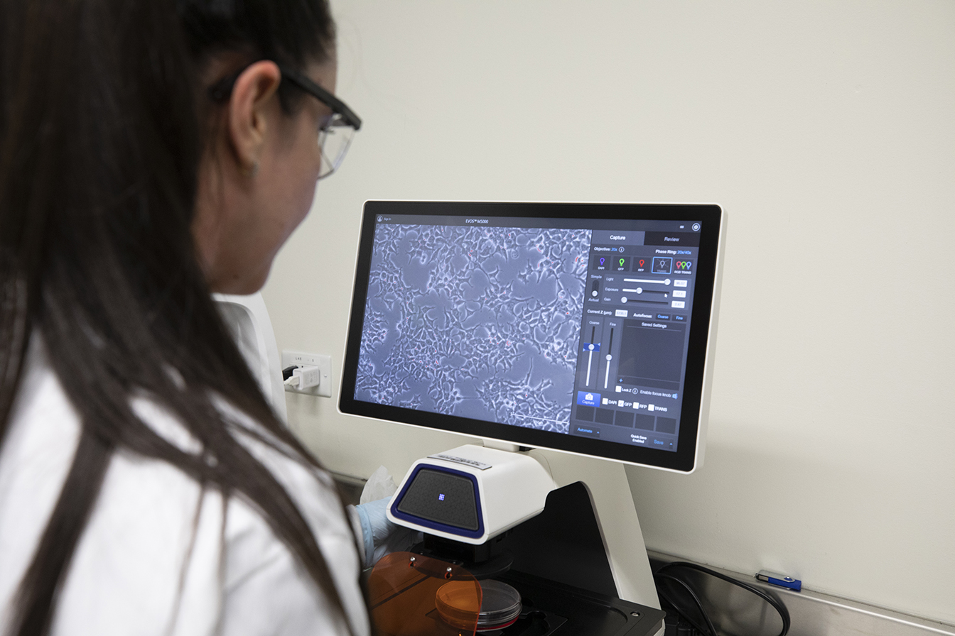 woman looking at microscopic imagine on computer screen