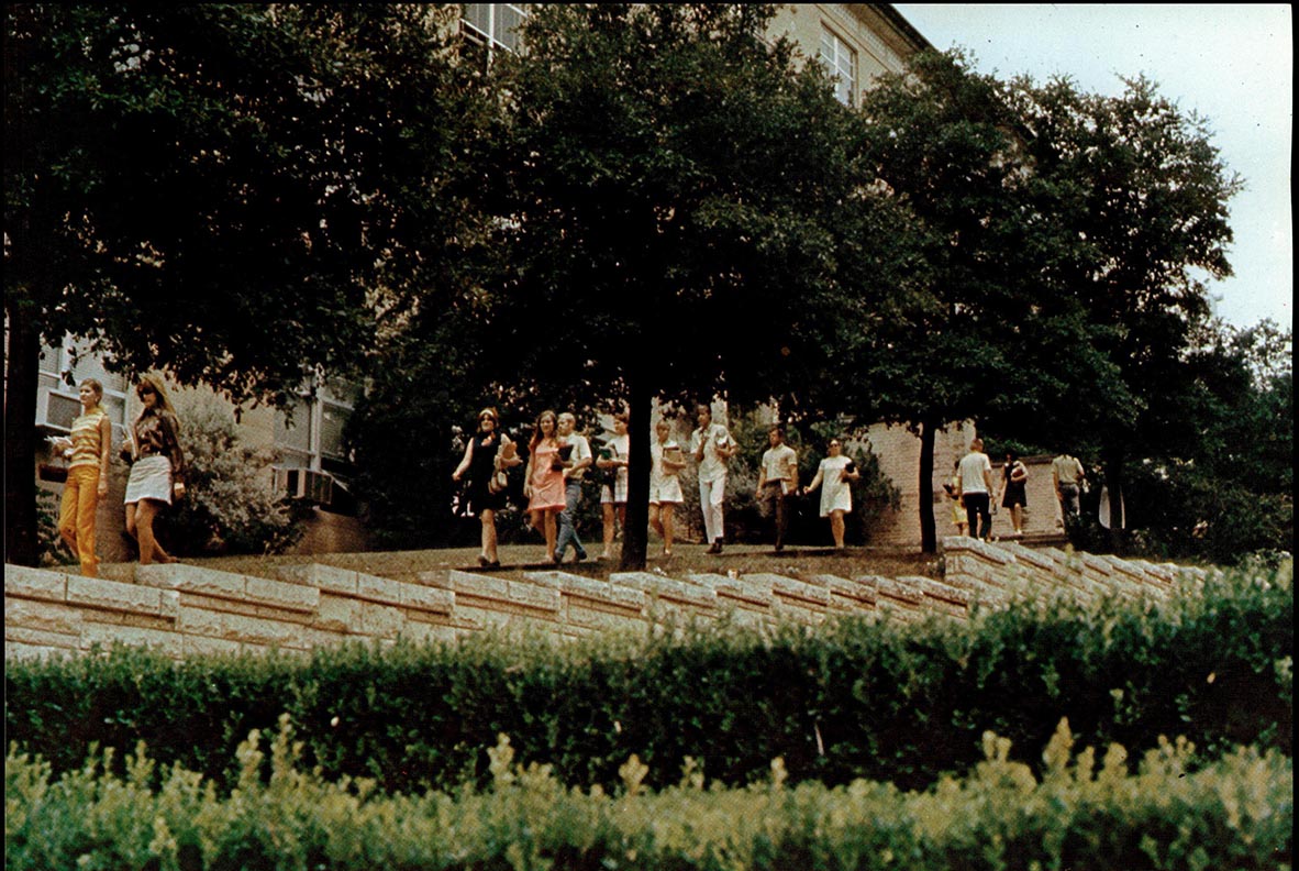 multiple students walking on sidewalk near grassy area