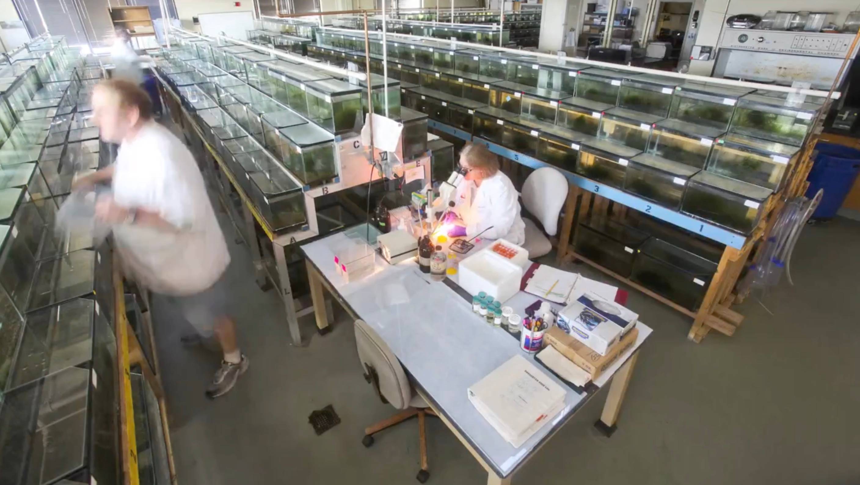 A time-lapse video shows some of the daily activities of the XGSC.