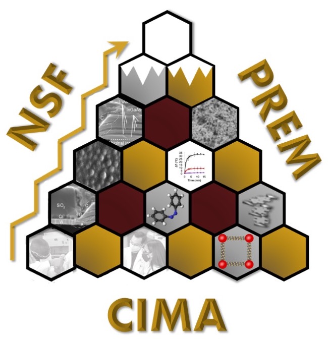 PREM CIMA logo
