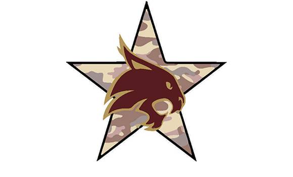 Veterans Alliance of Texas State Logo