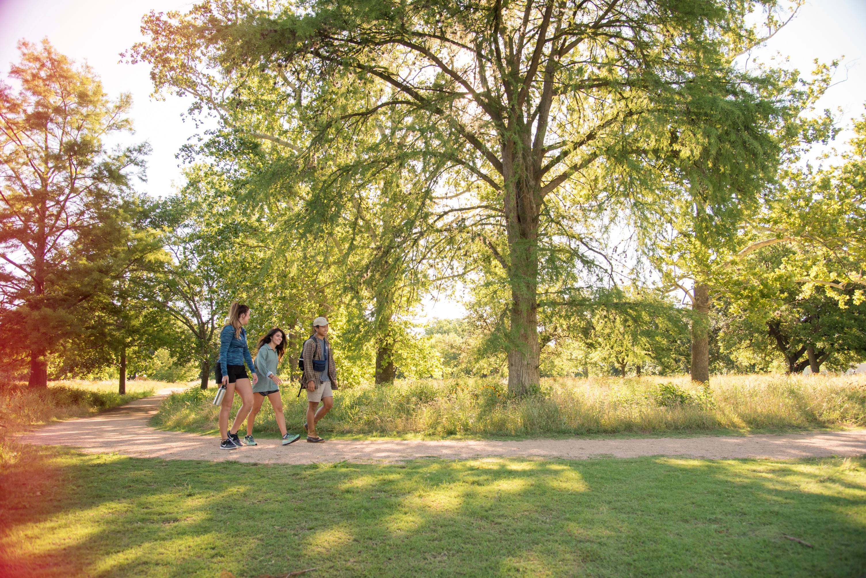Students walking