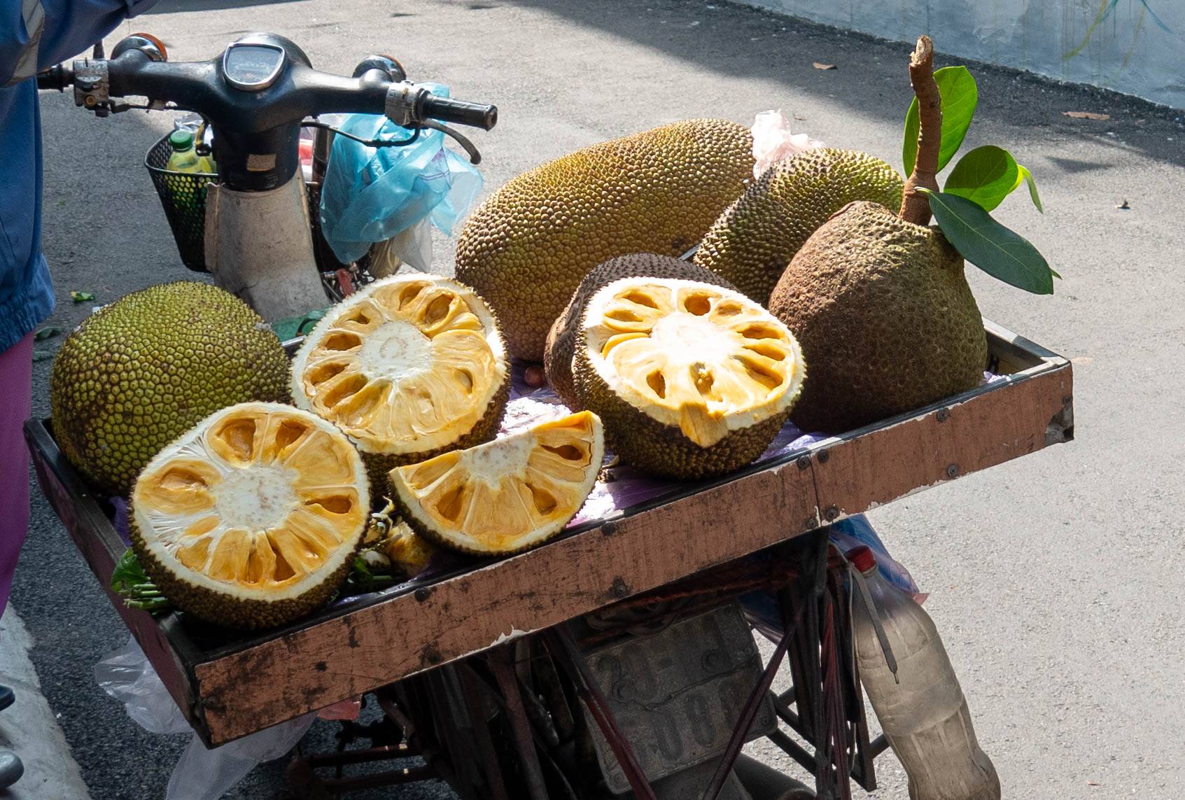 close up picture of jackfruit
