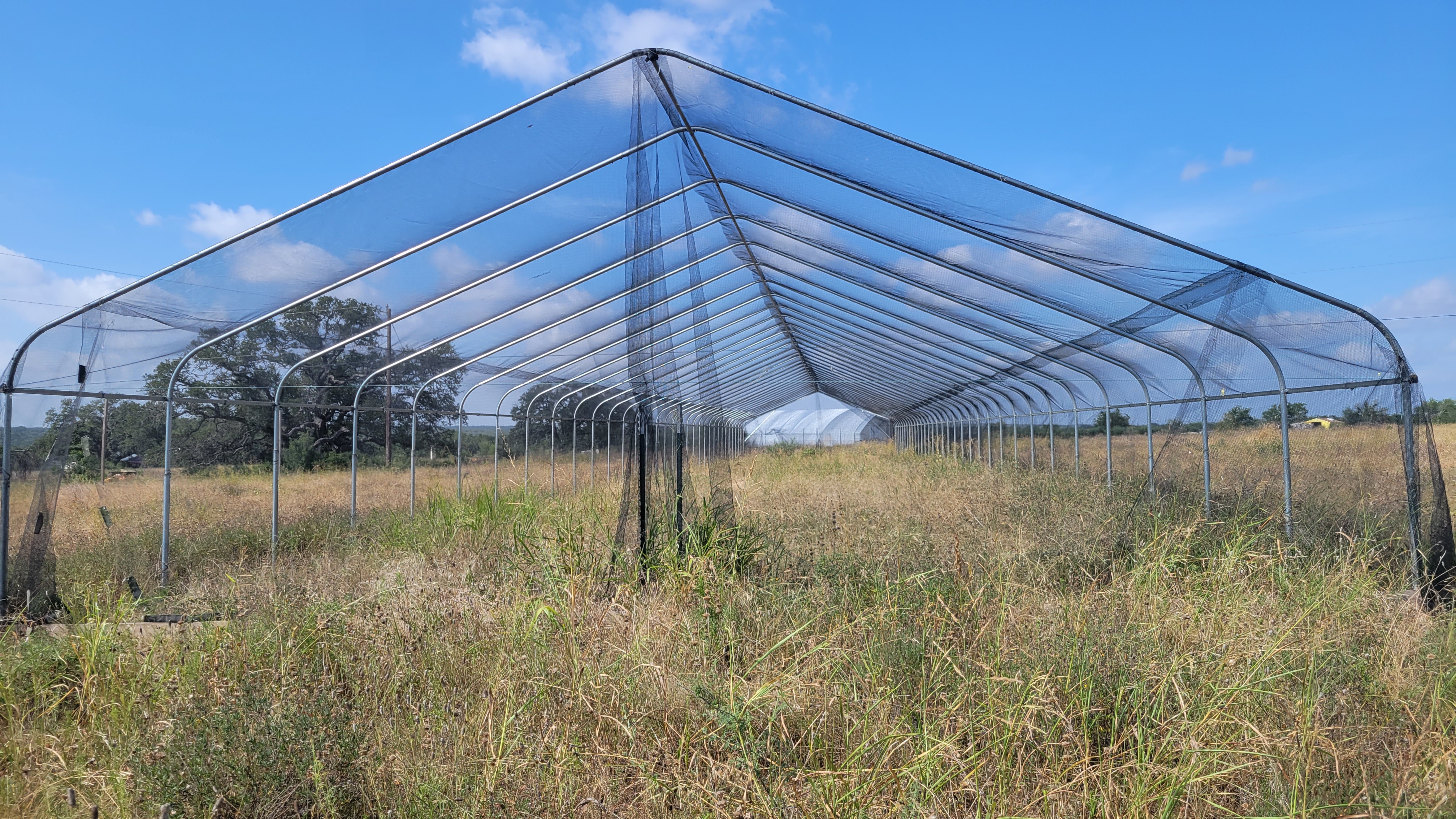 Image of the bat flight cage in a field. The cage is roughly 50 yards long, it has a triangular roof, and the metal structure is surrounded by netting.