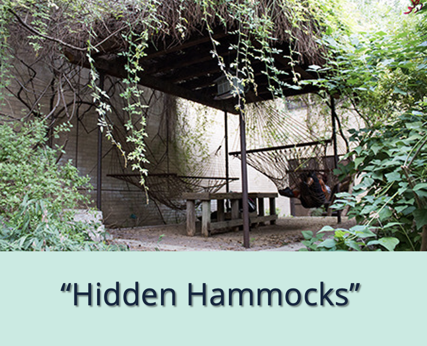 Photo of hidden hammocks. 