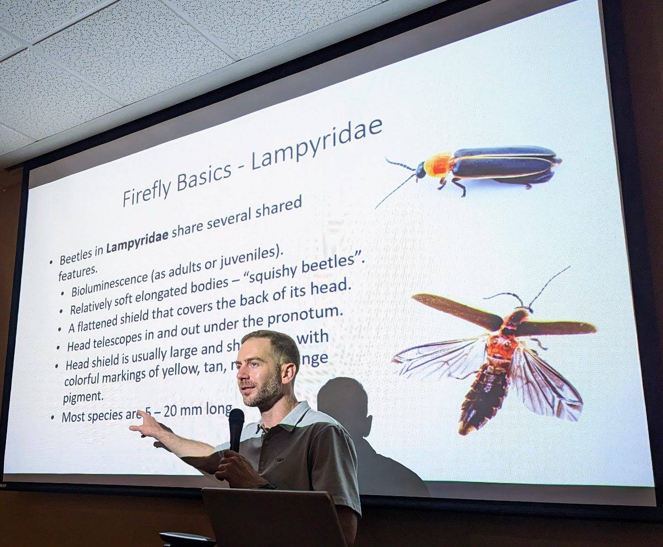 man standing in front of large presentation on fireflies
