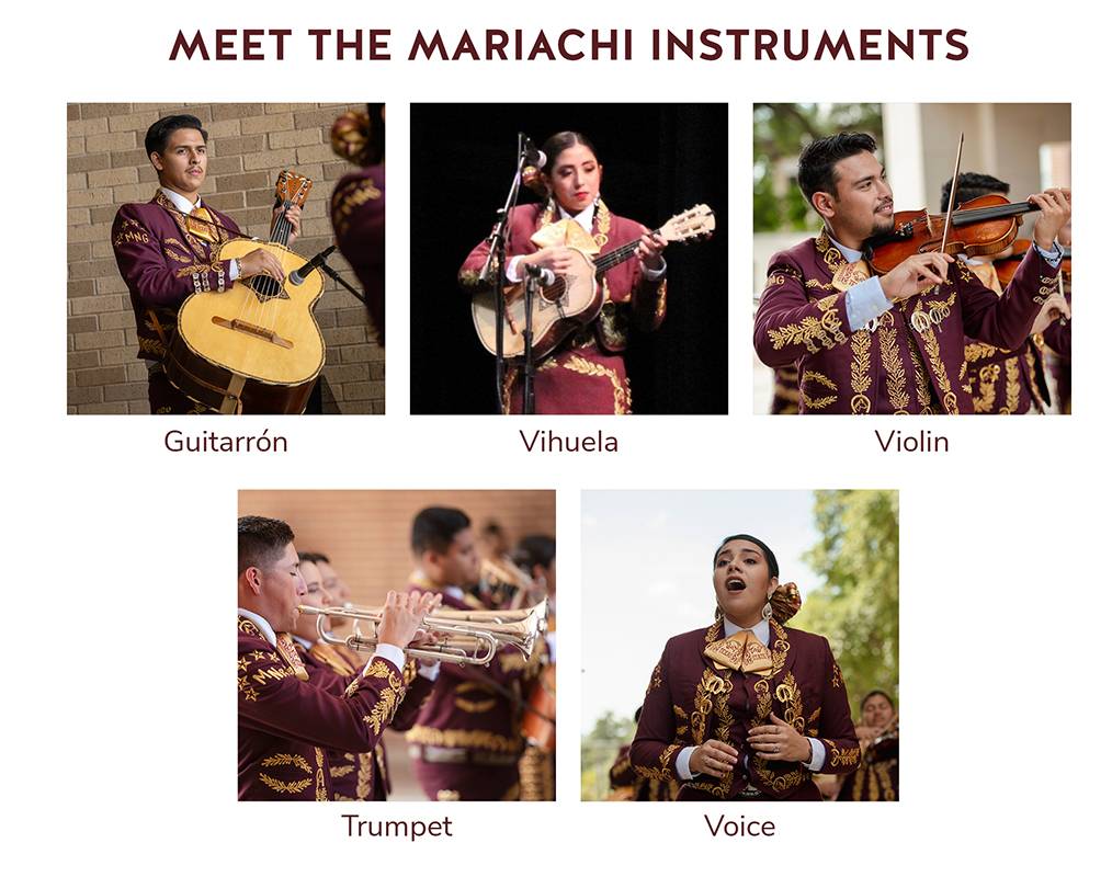 graphic showing different mariachi instruments