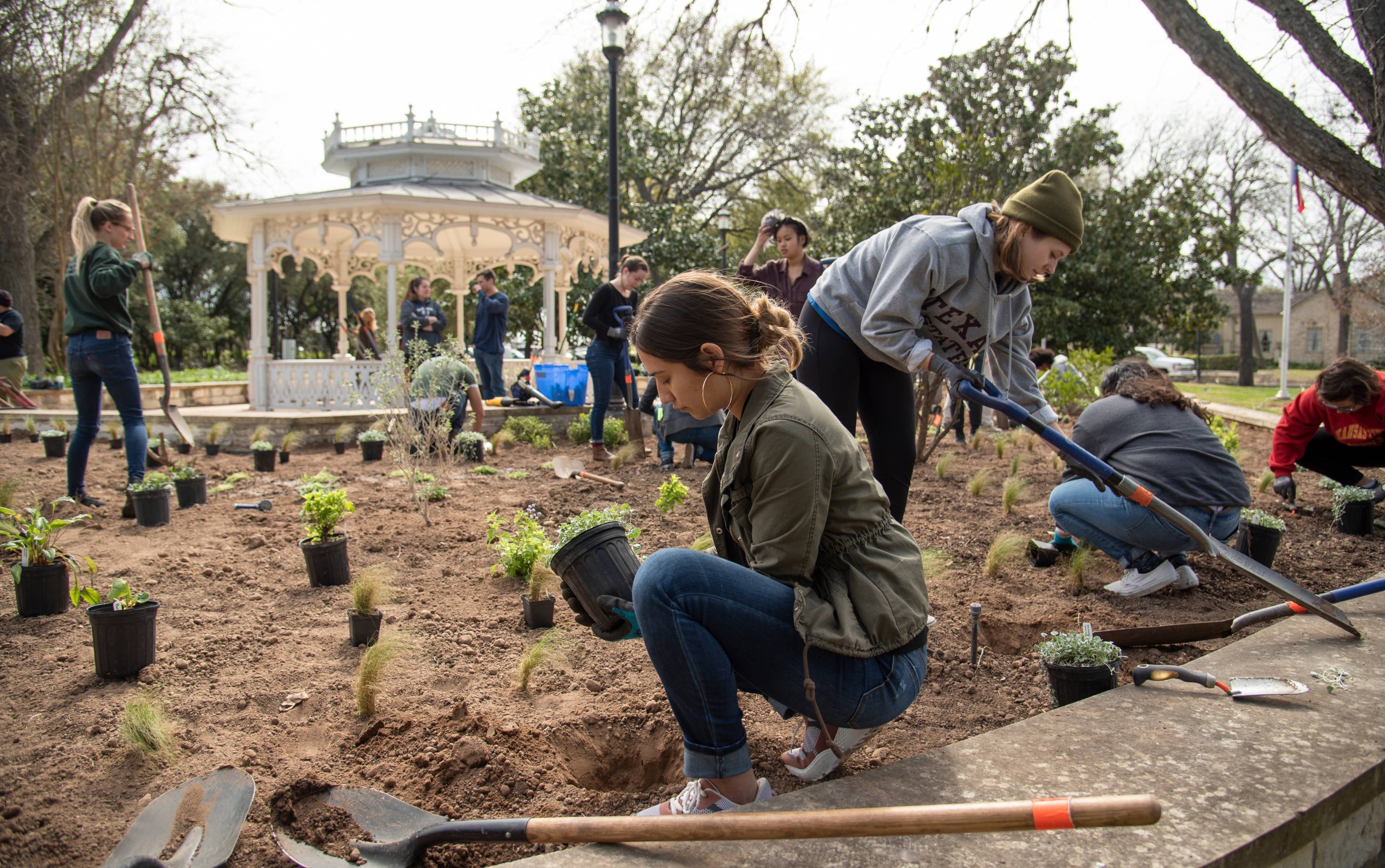 agriculture students planting shrubs