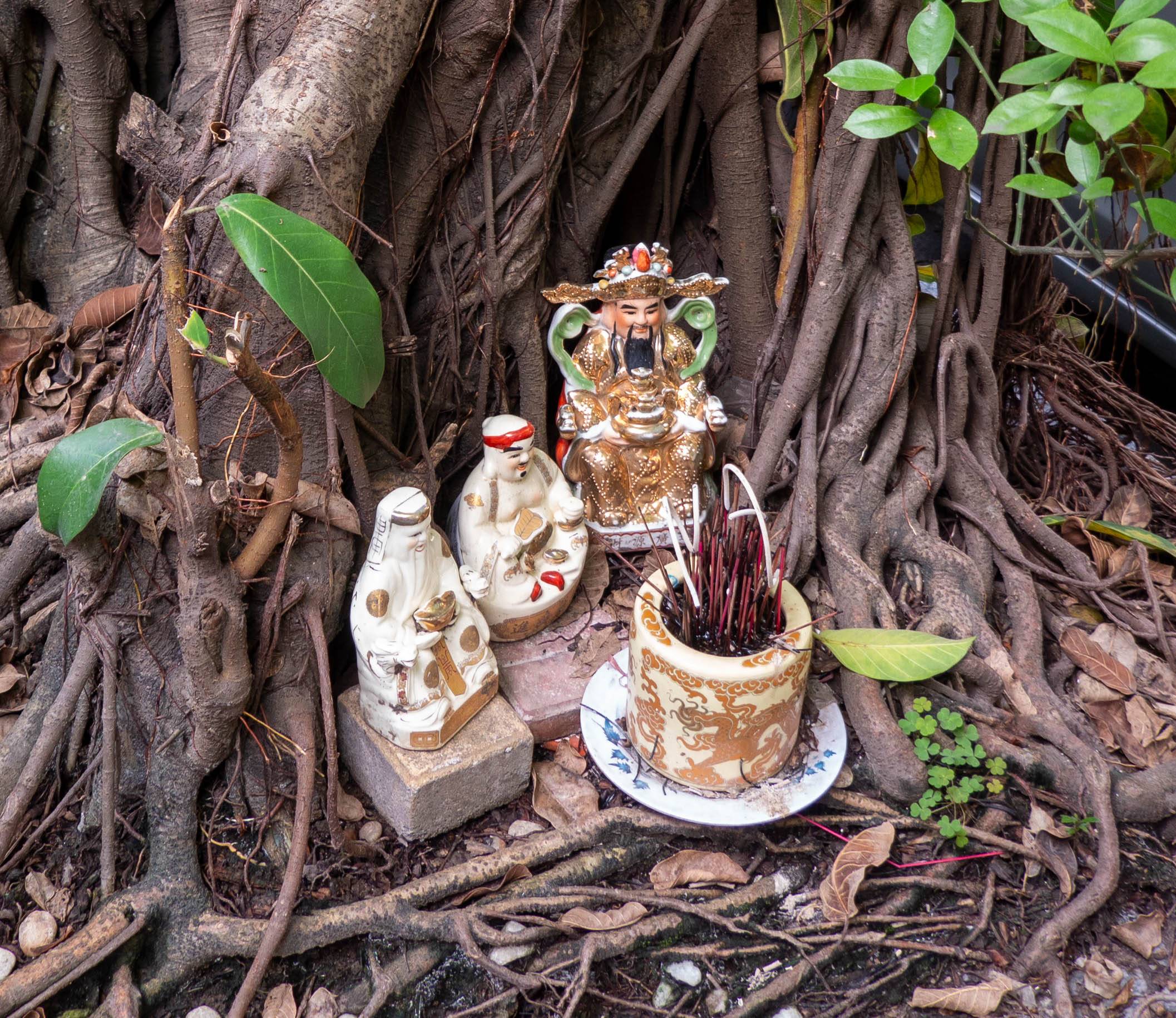 Picture of statues in crotch of tree branches showing three figurines on the left, left center, and left top, with an incense holder with many burned incense sticks.