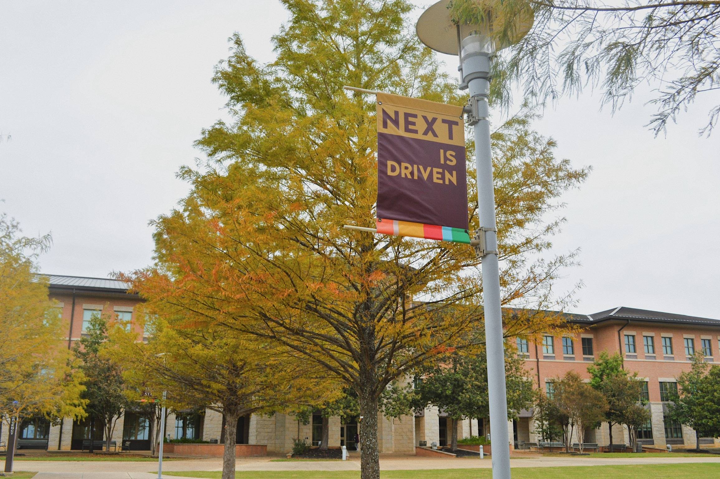 colorful leaves behind a Texas state banner at the round rock campus