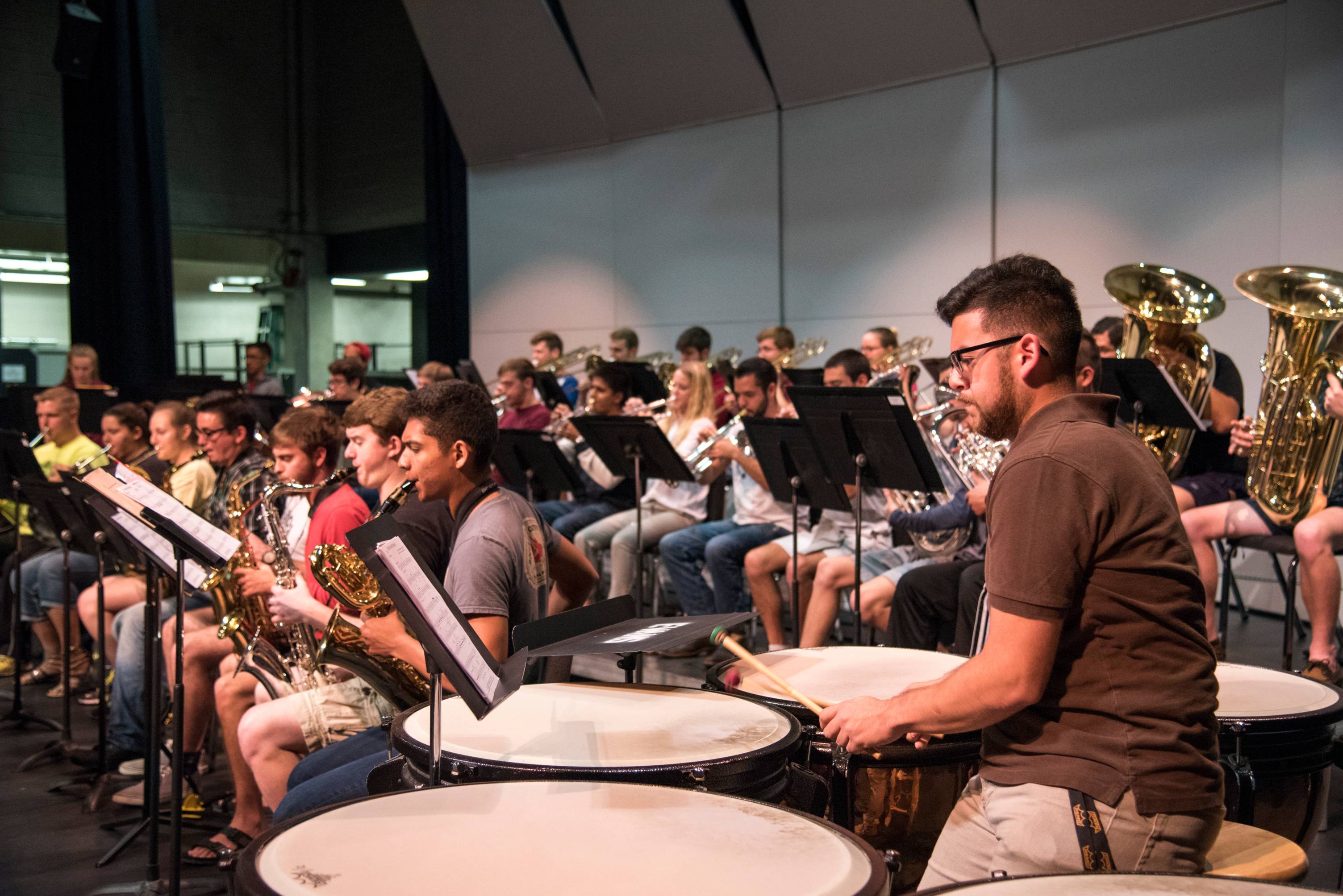 Instrumental Musicians in a Band Ensemble