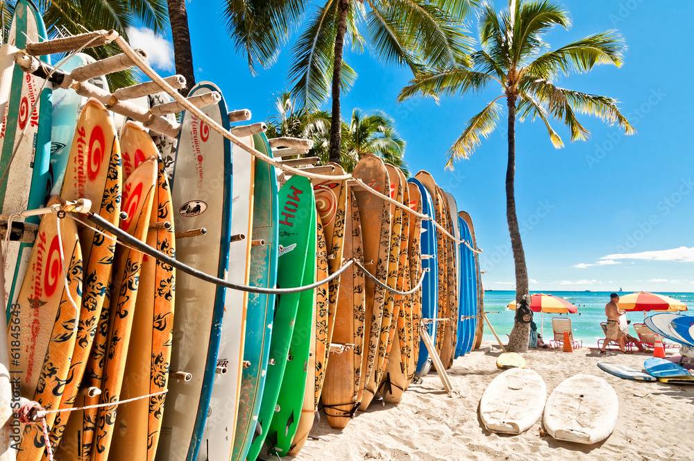surf boards in hawaii image