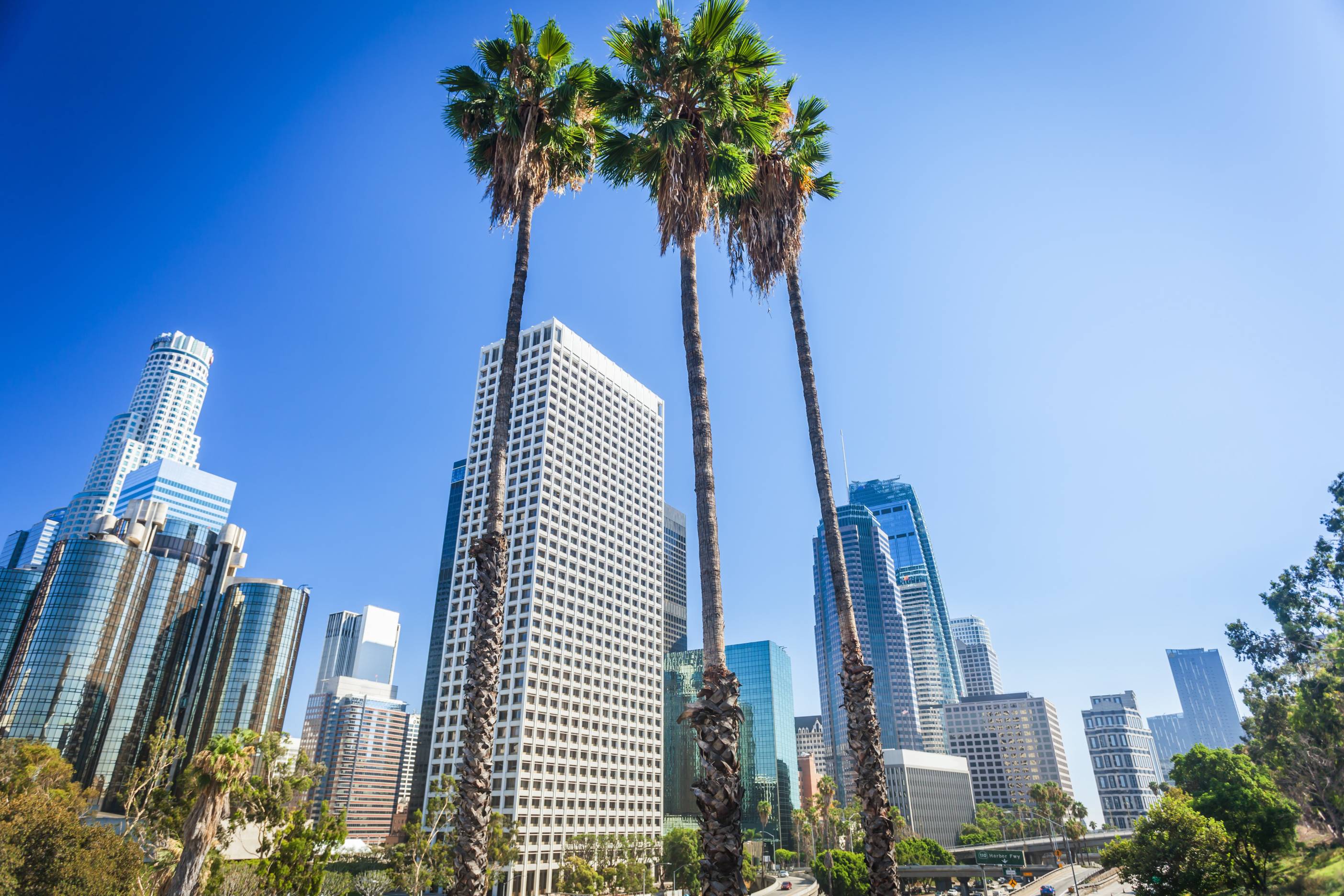 palm trees and downtown view of los angeles california image