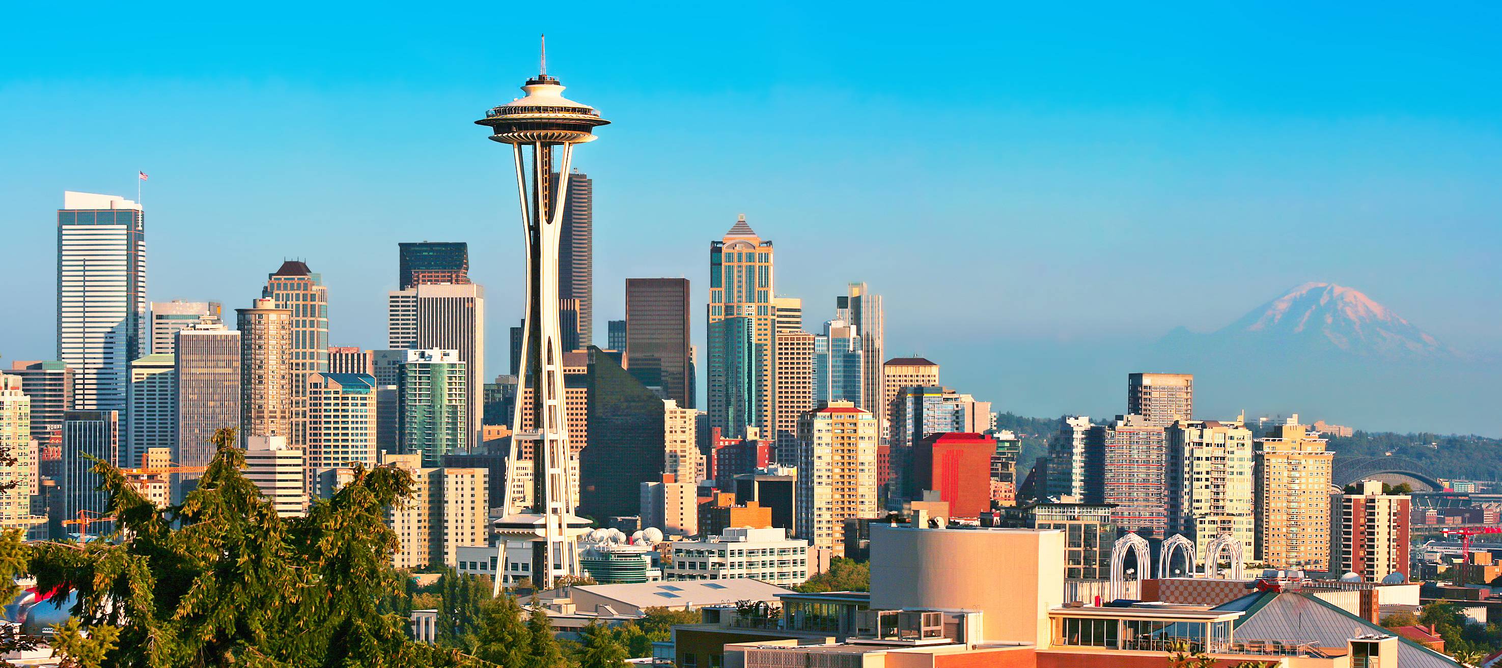Seattle washington skyline image