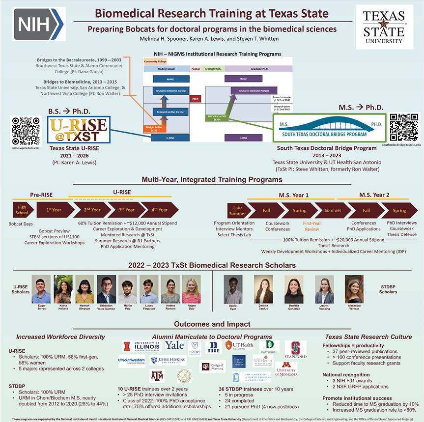 Graphic for poster winner 5: Biomedical Research Training at Texas State: Preparing Bobcats for doctoral programs in the biomedical sciences