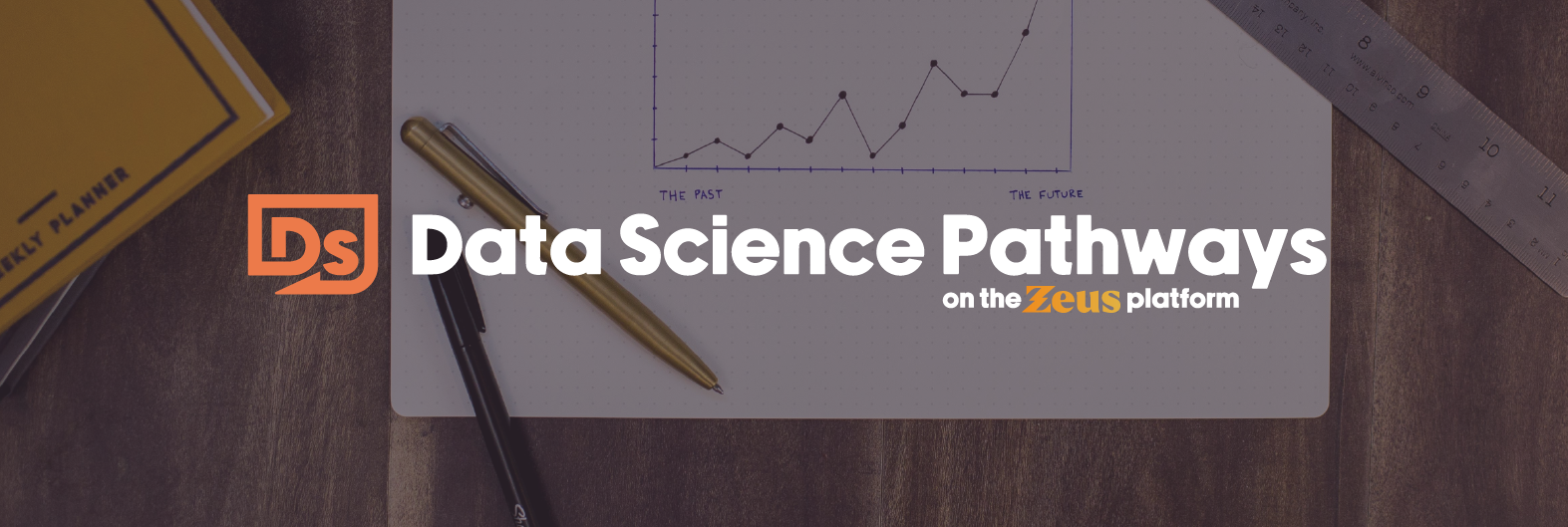 Data Science Pathways