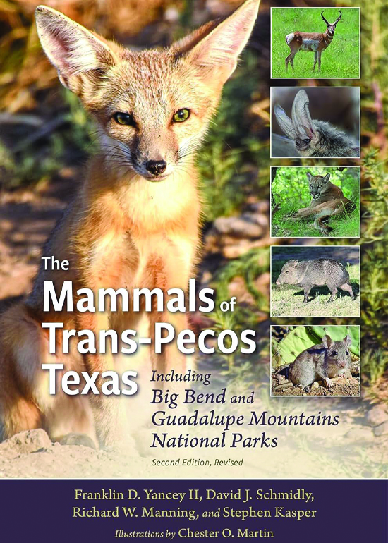 The Mammals of the Trans-Pecos Texas