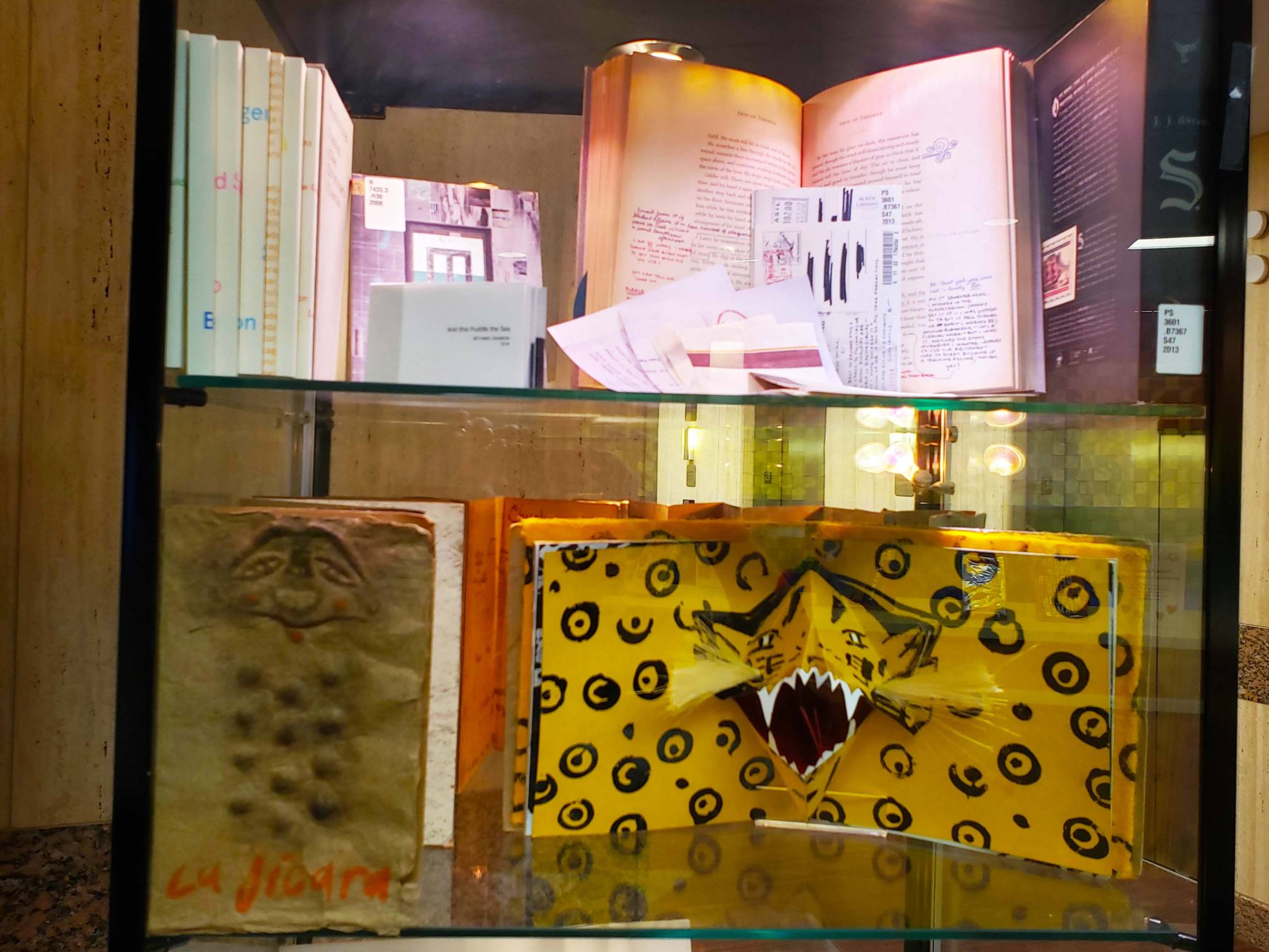 Glass case housing some of the Artists' Book Collections.
