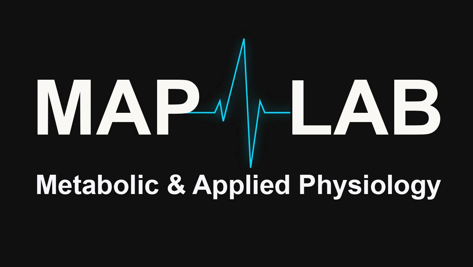 Map Lab Logo Black Background