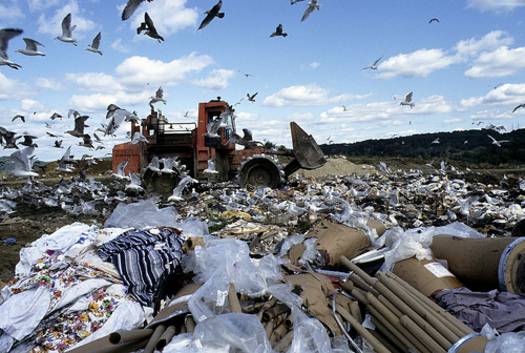 A landfill with seagulls flying overhead