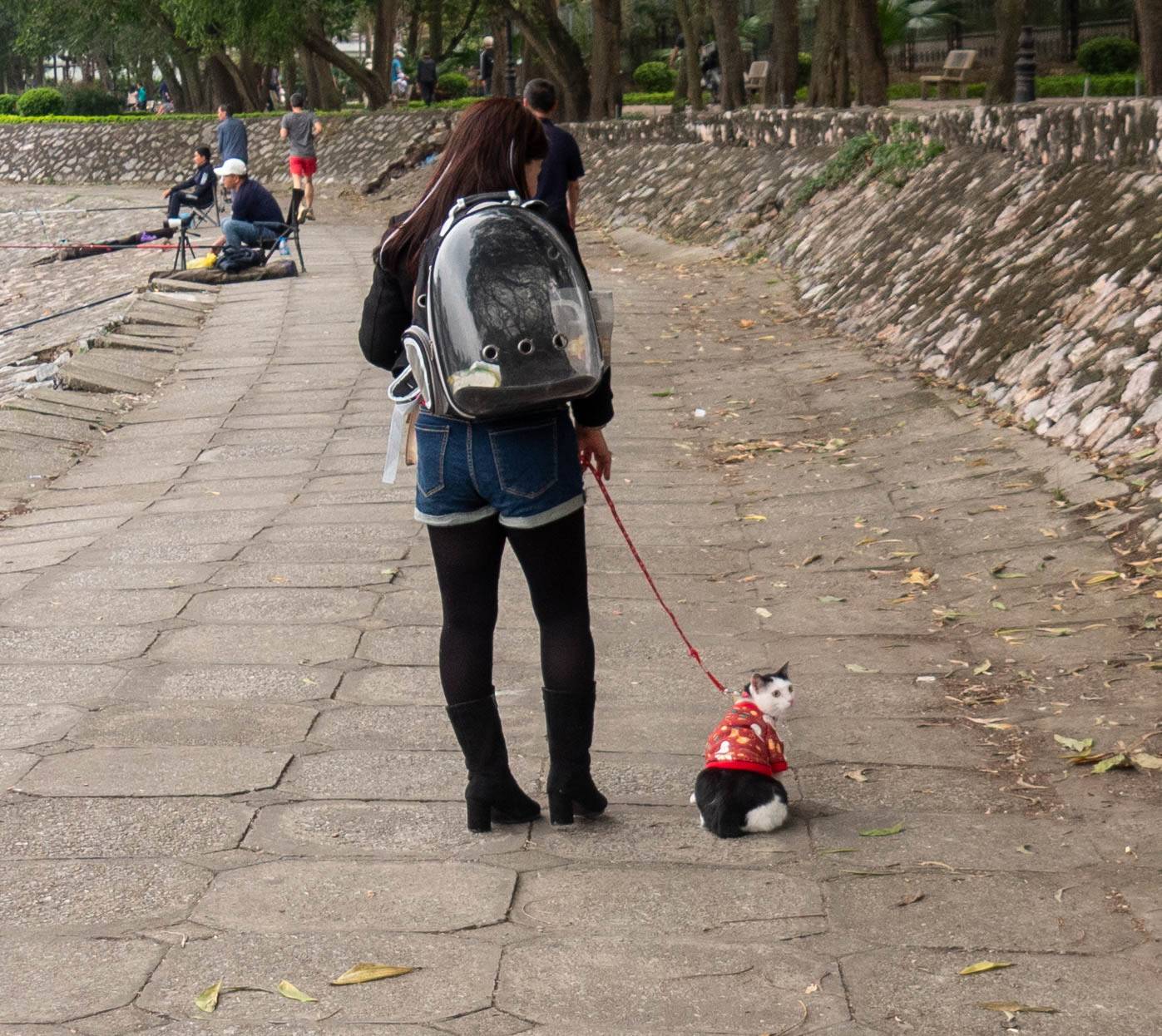 Woman with a cat on a leash at a park.. She is wearing a clear back pack with three breathing holes in the bottom portion.