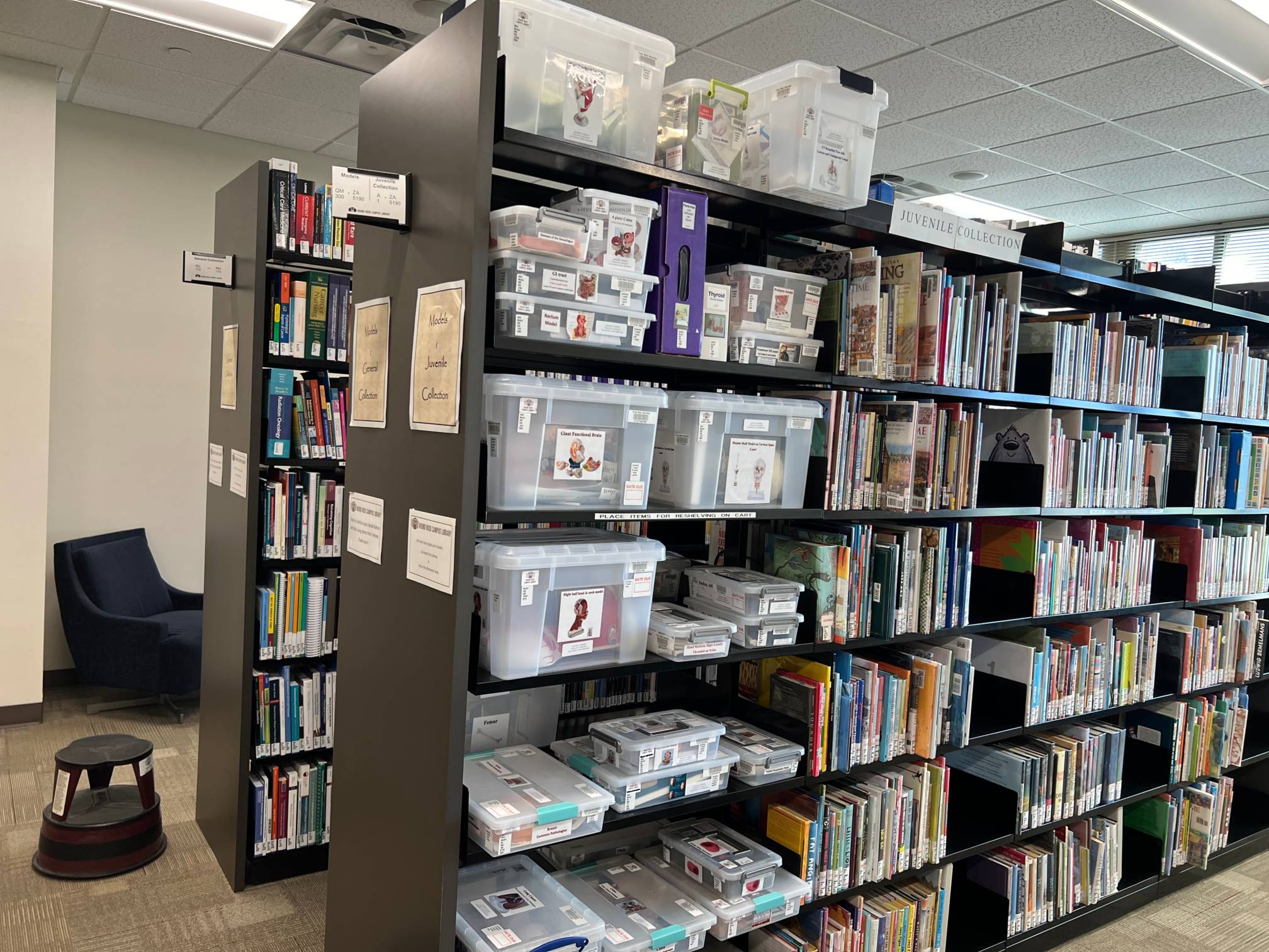 Shelves with plastic containers containing human anatomy models and books