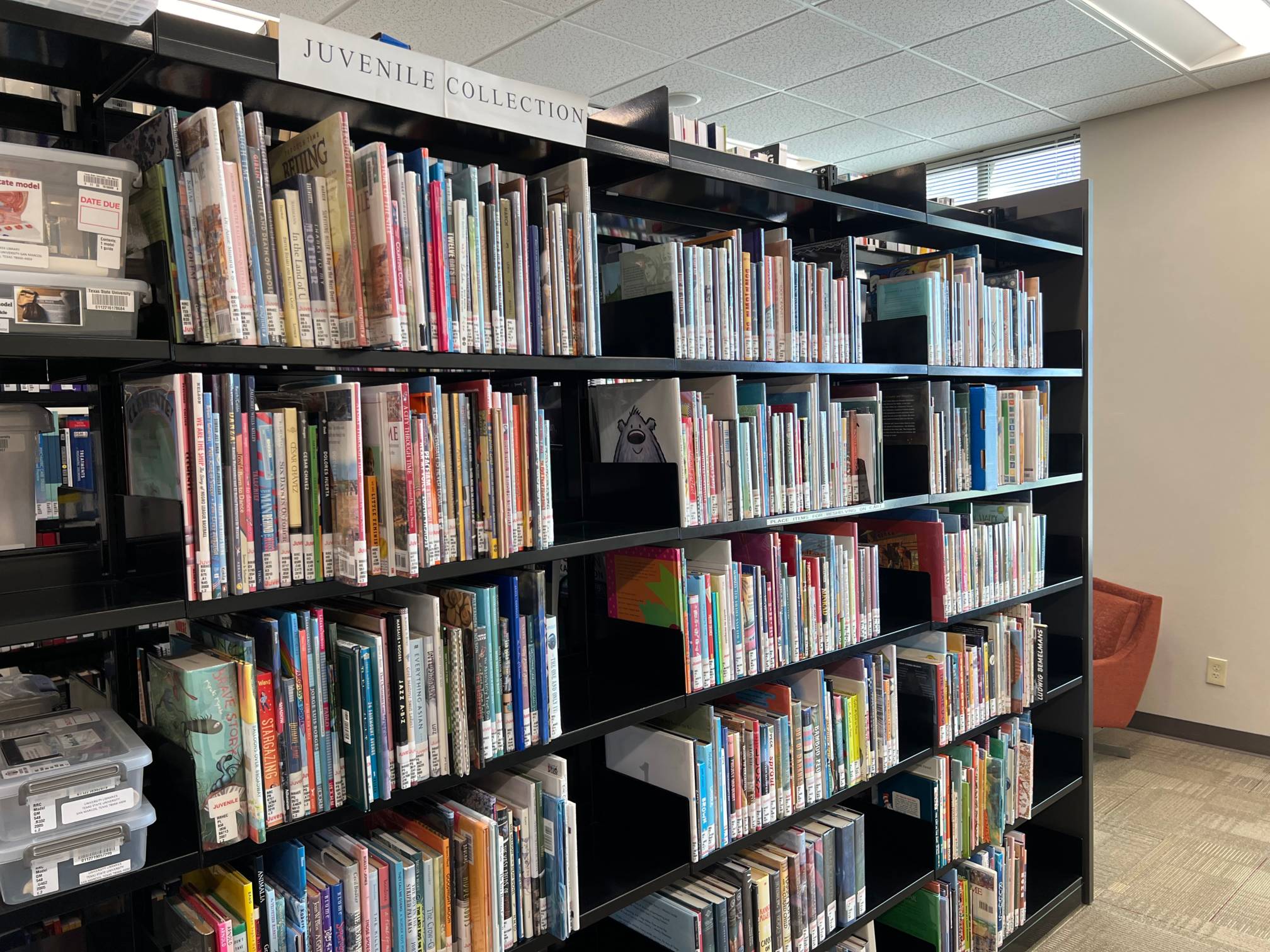 Shelves containing juvenile books