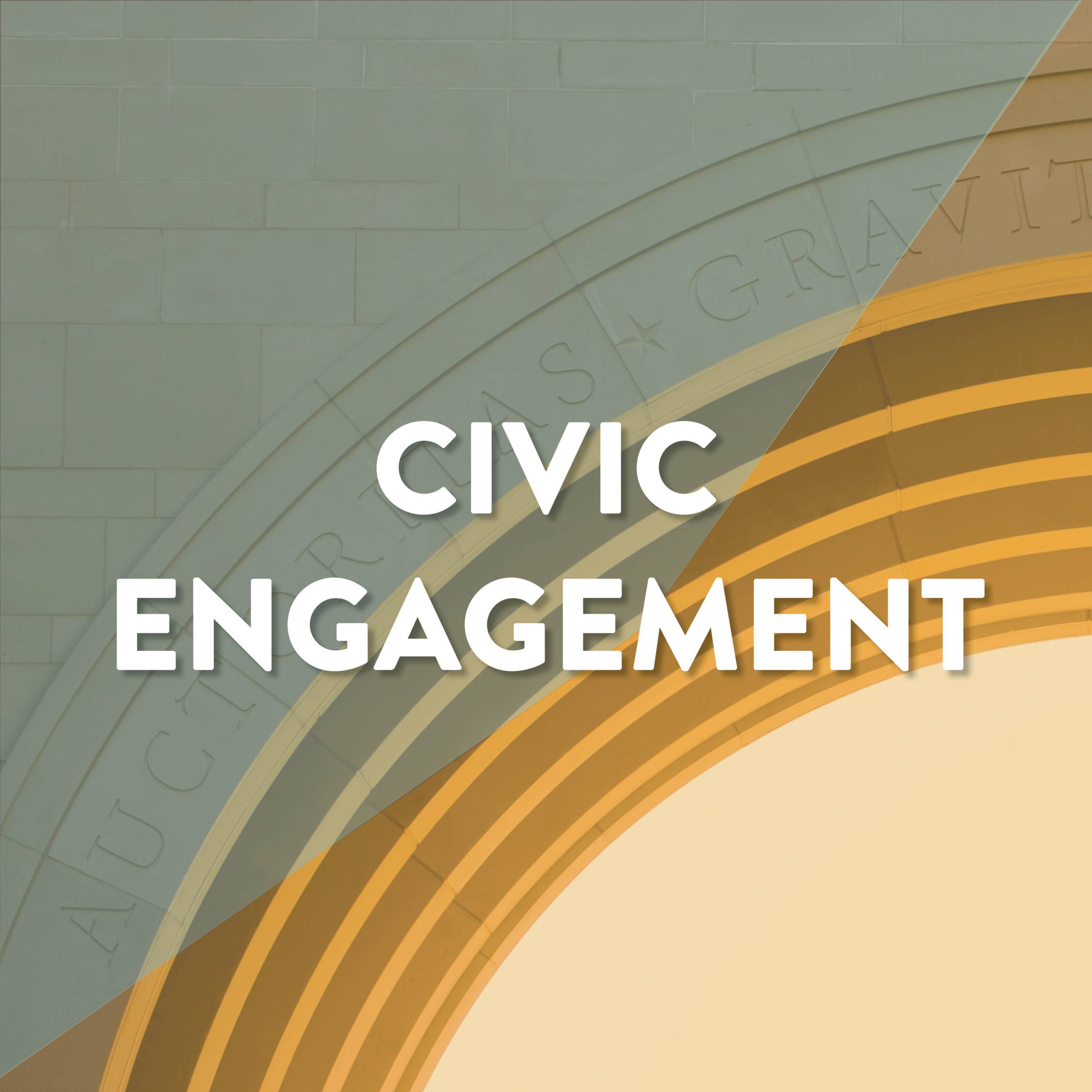 Click here to learn more about the MPA Program's initiative on civic engagement.