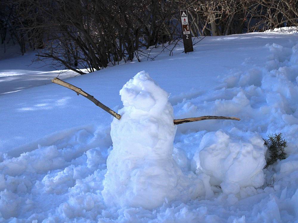 Santa Fe Snowman