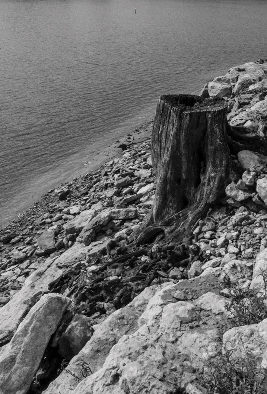 black and white photo of water and rocks