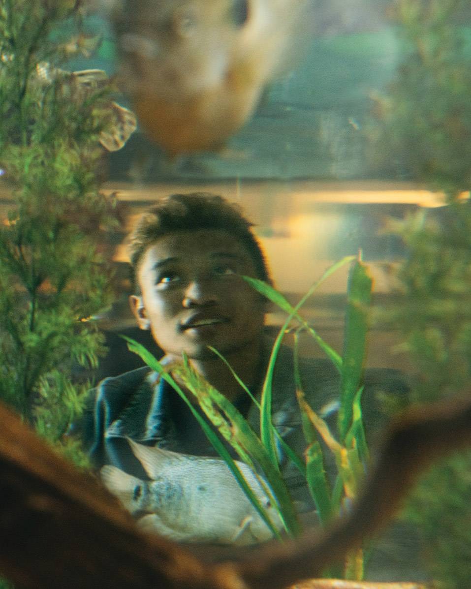 man looking into aquarium tank