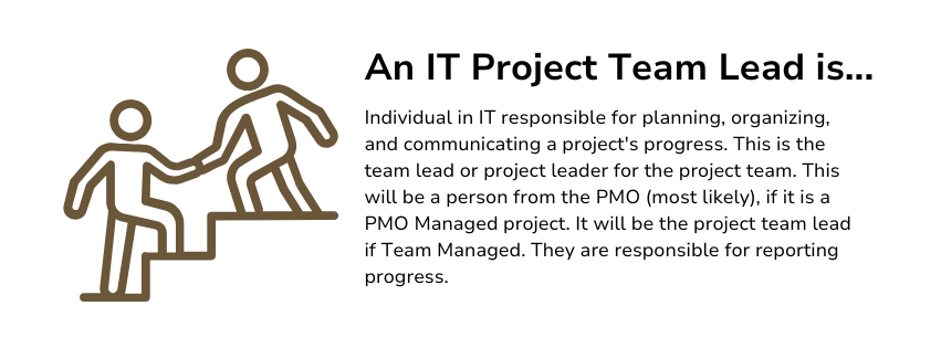 An IT Project Team Lead Individual in IT responsible for planning, organizing, and communicating a project's progress. This is the team lead or project leader for the project team. This will be a person from the PMO (most likely), if it is a PMO Managed project. It will be the project team lead if Team Managed. They are responsible for reporting progress.