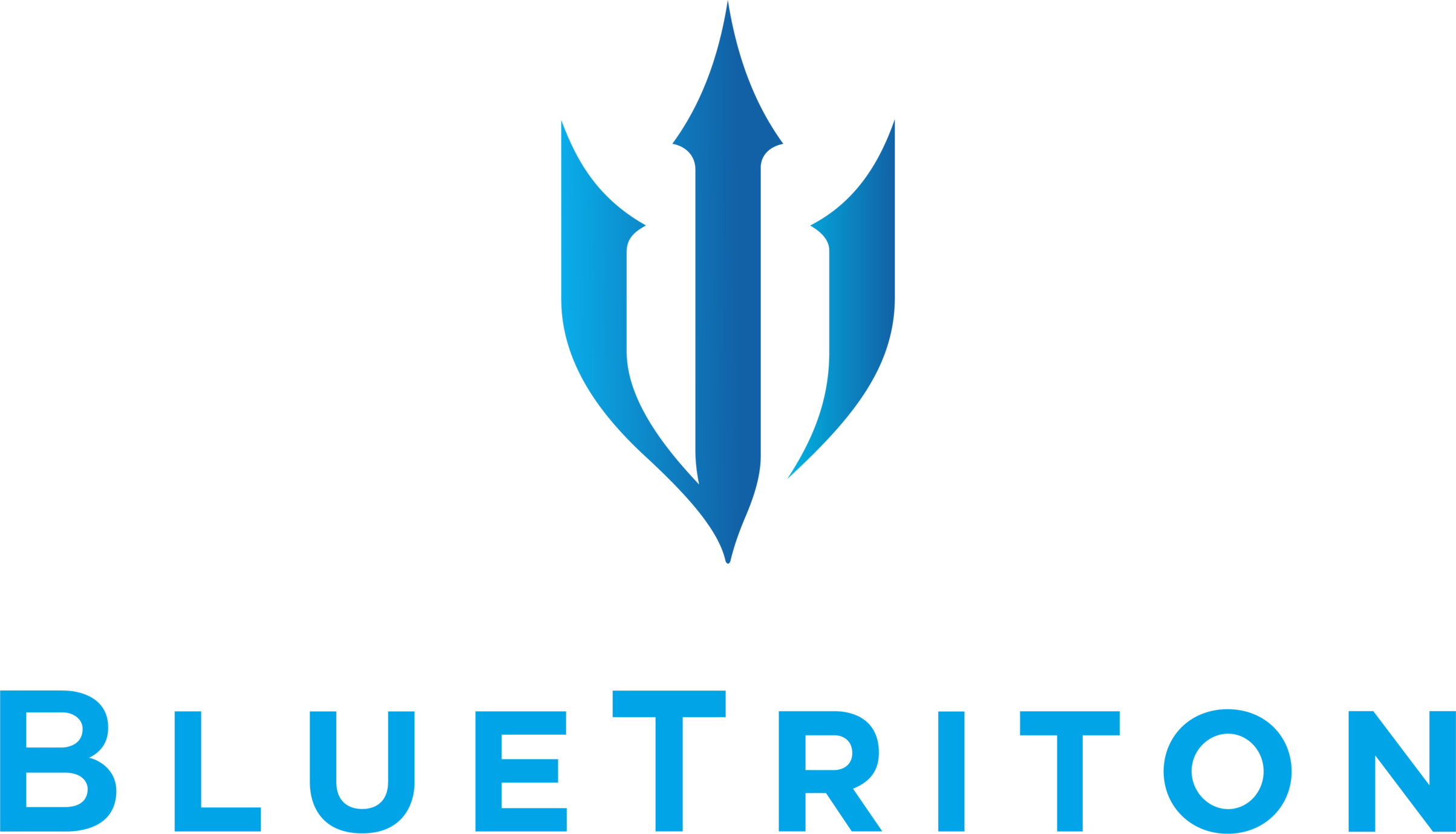 bluetriton logo