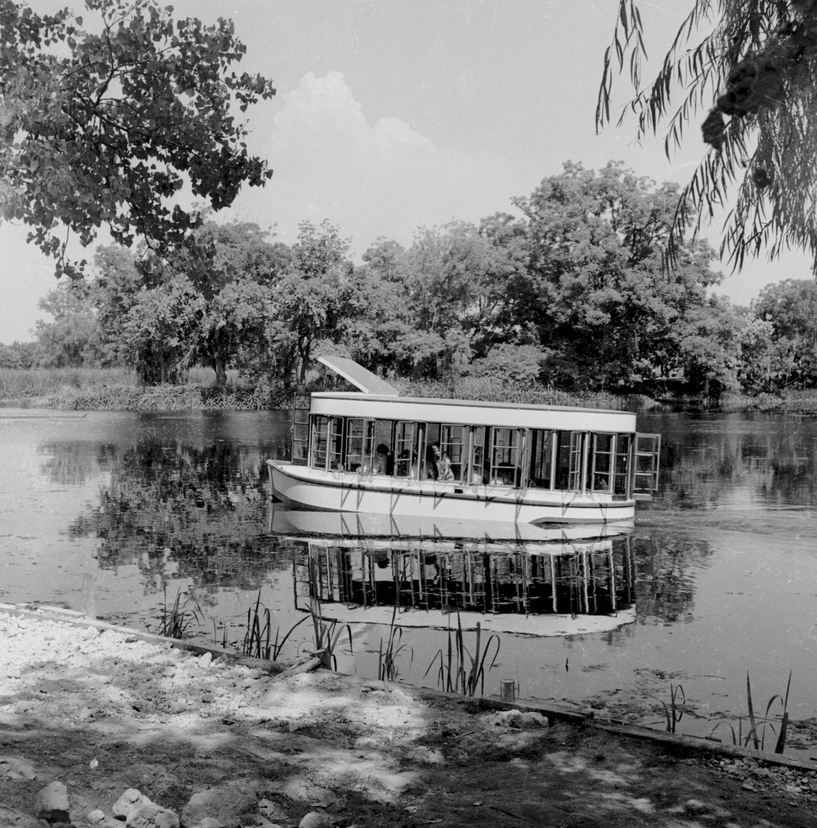 A monochrome image of a glass-bottom boat gingerly traveling along Spring Lake. A few passengers can be seen staring out into a surrounding scenery filled with luscious trees and grass. 