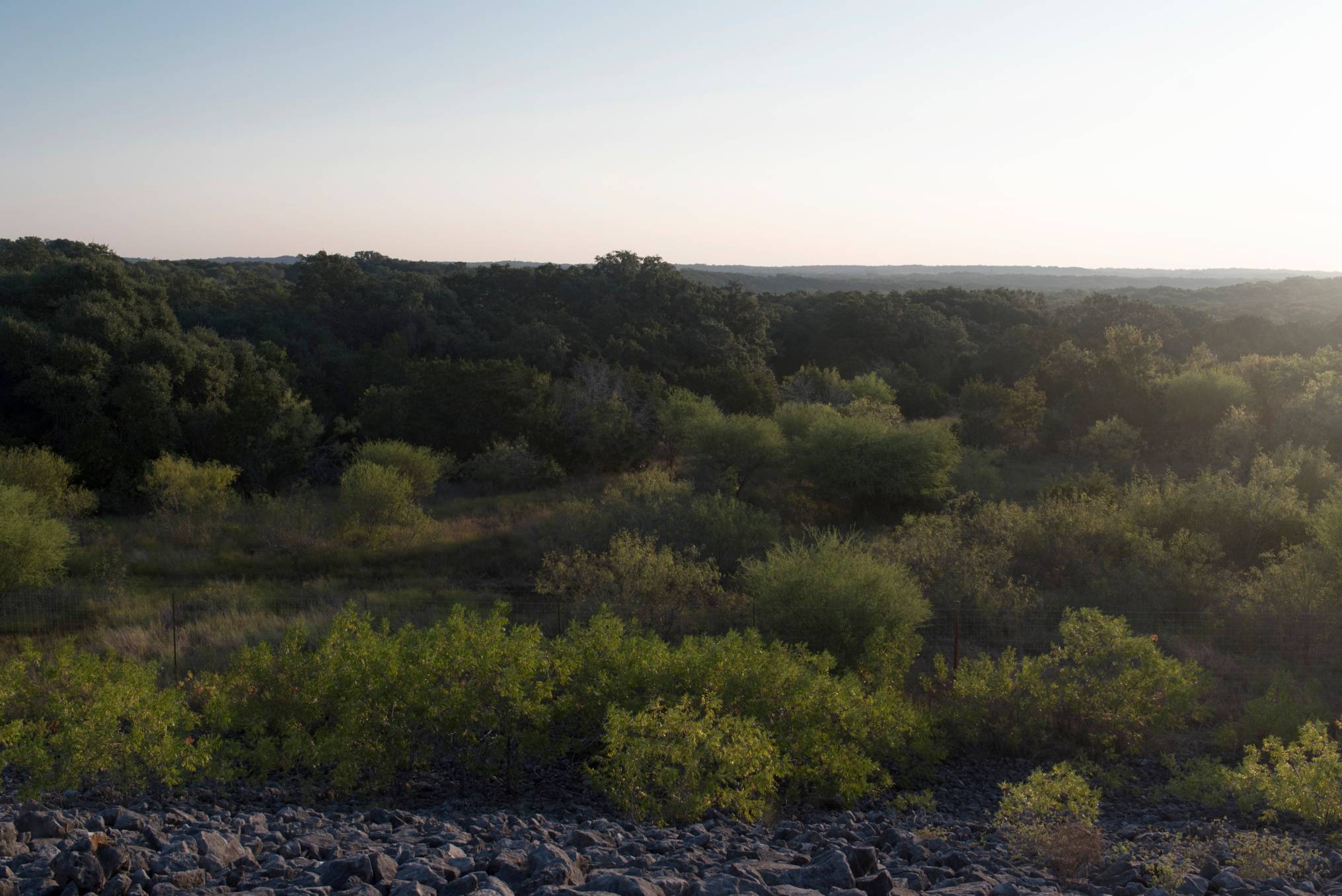 A photograph looking over many acres of hilly trees off into the distance. 