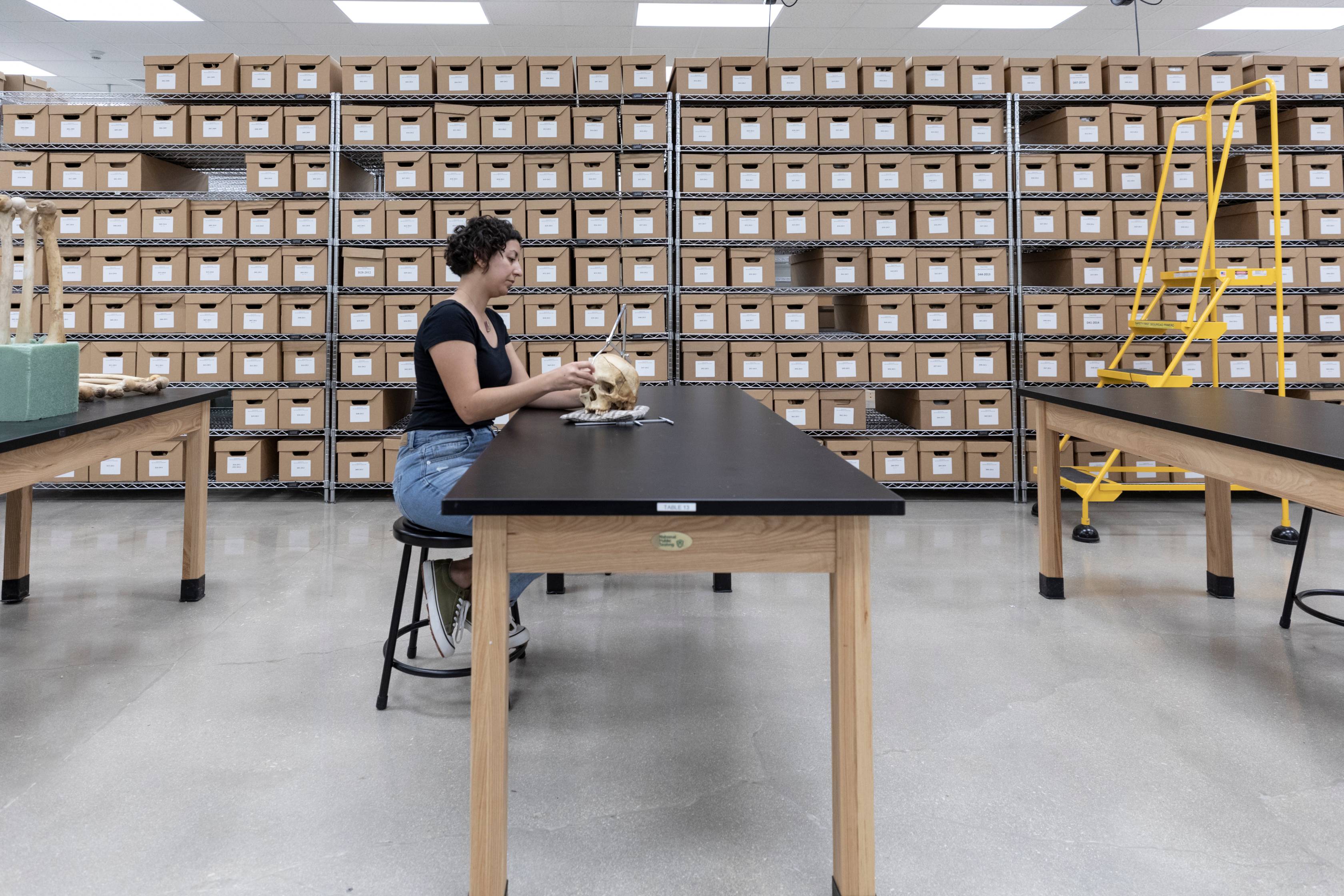 A student observing a skull at a lab table with shelves of organized boxes behind her. 