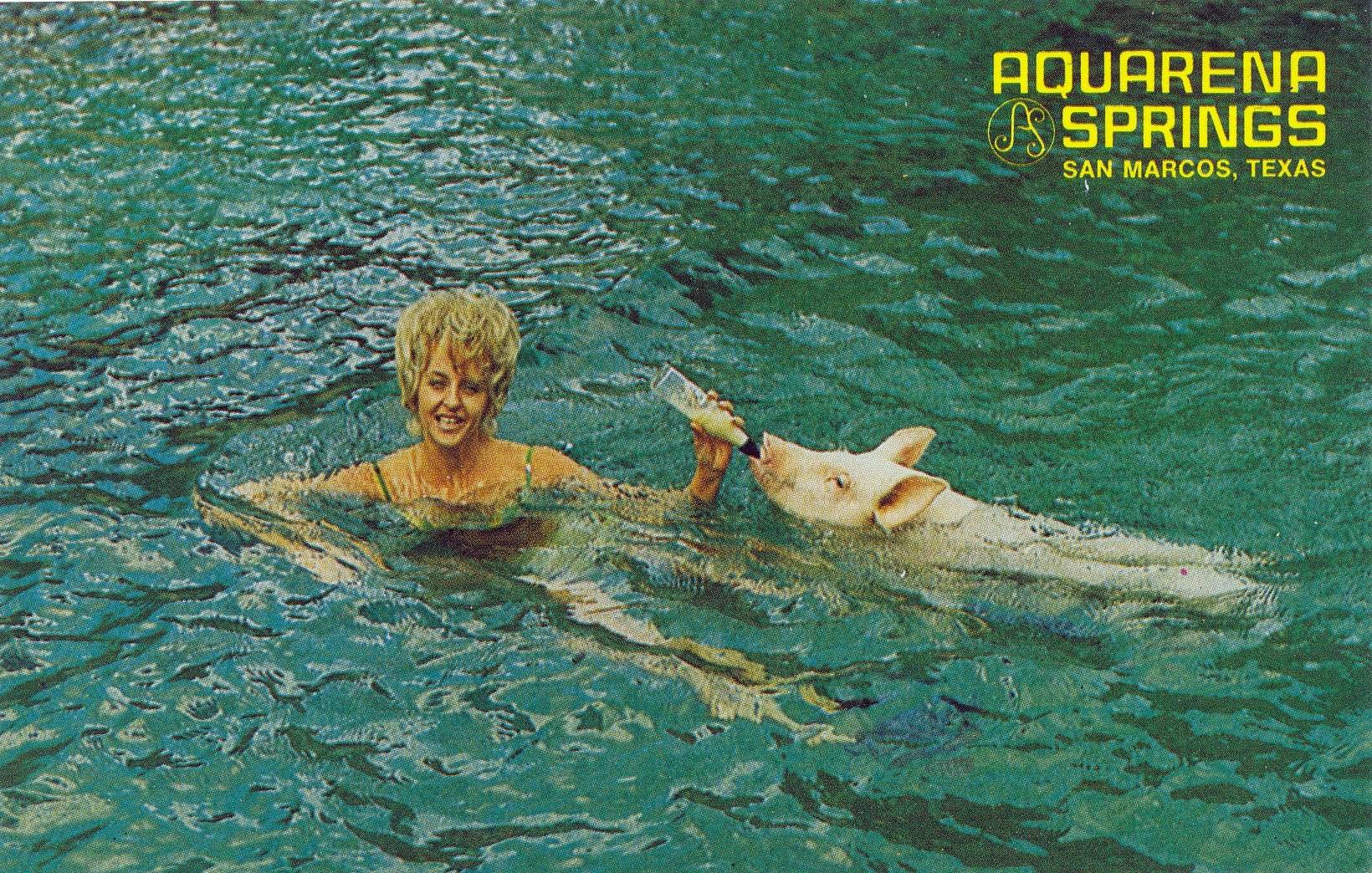 In a vintage postcard from Aquarena Springs, a young blonde woman swims alongside a pig while feeding it from a bottle.