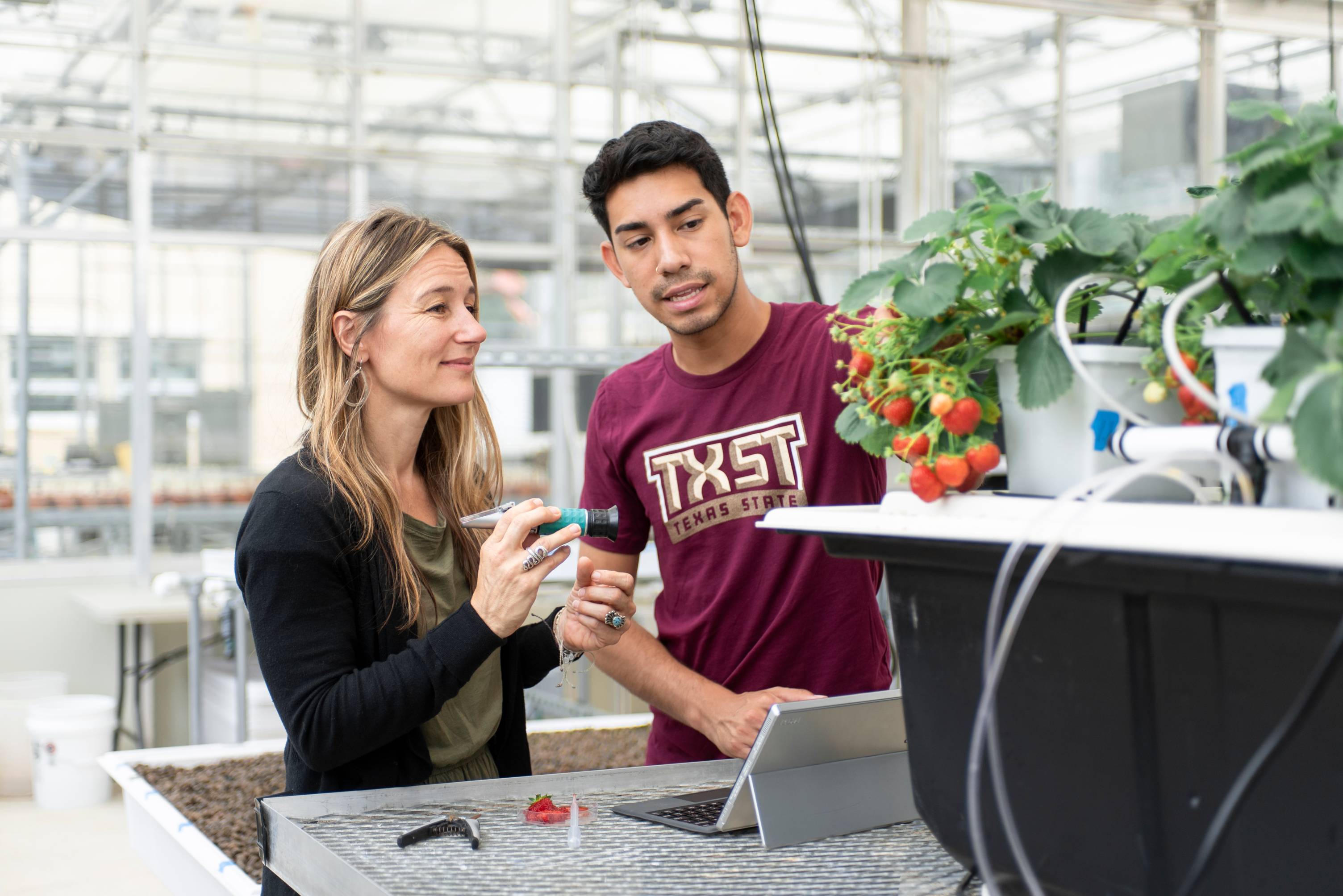 A Texas State faculty member works with a student in an agricultural lab. They are utilizing several tools and a computer to track data for a small fruit plant. 