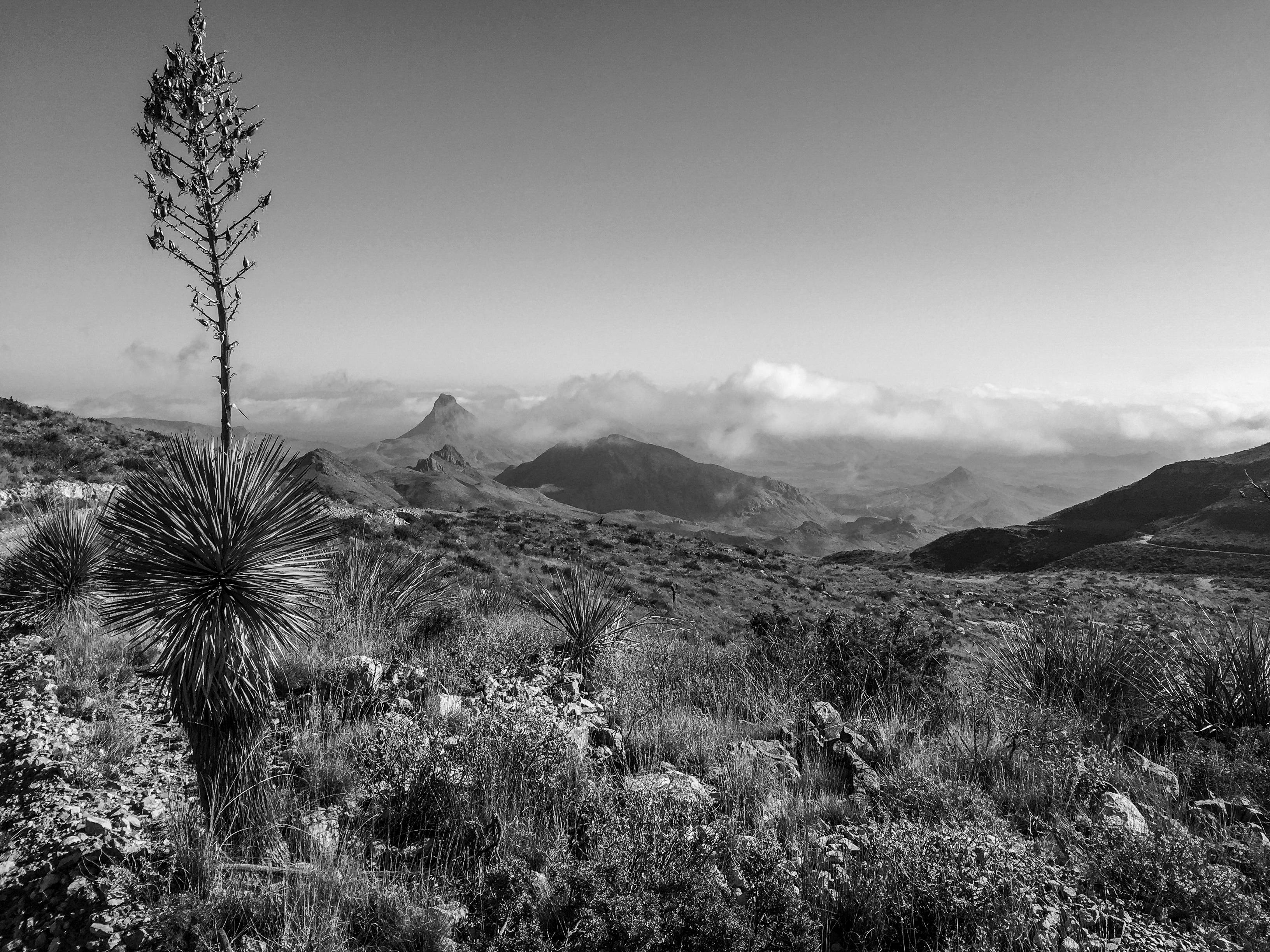 black and white photo of a mountain range